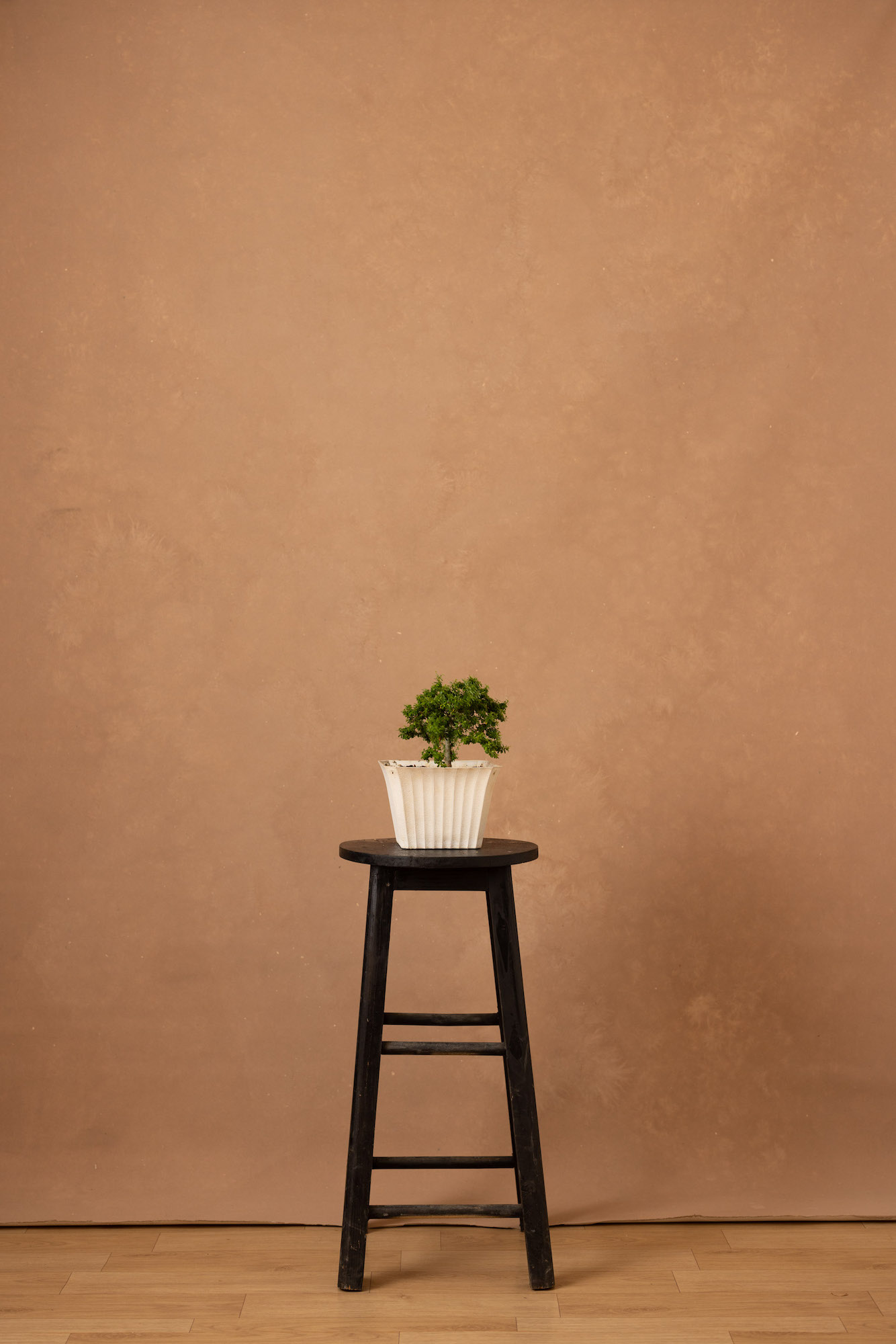 Brown Rust Painted Canvas Backdrop (RN#251) view 3