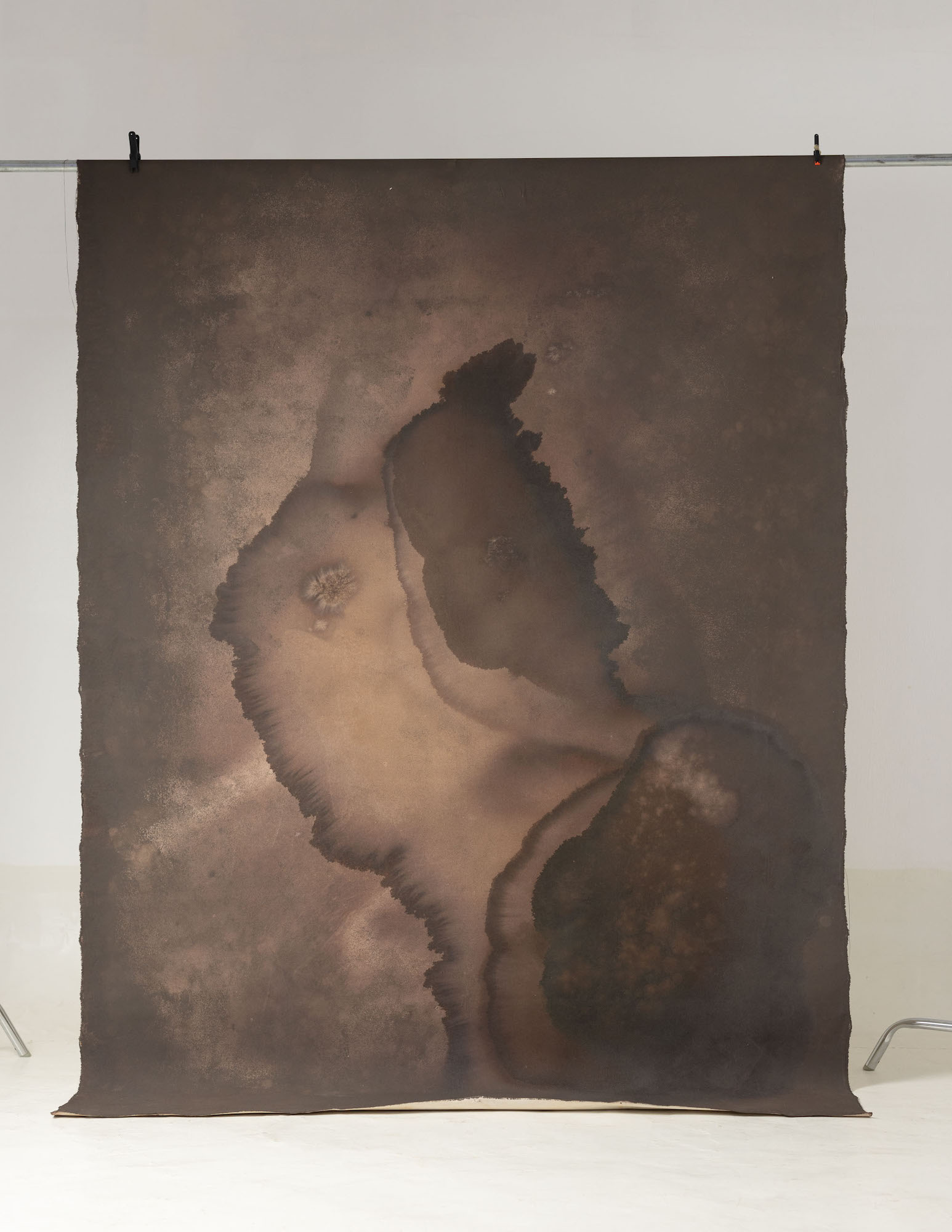 Rose Ebony Painted Canvas Backdrop (SL#227) view 2