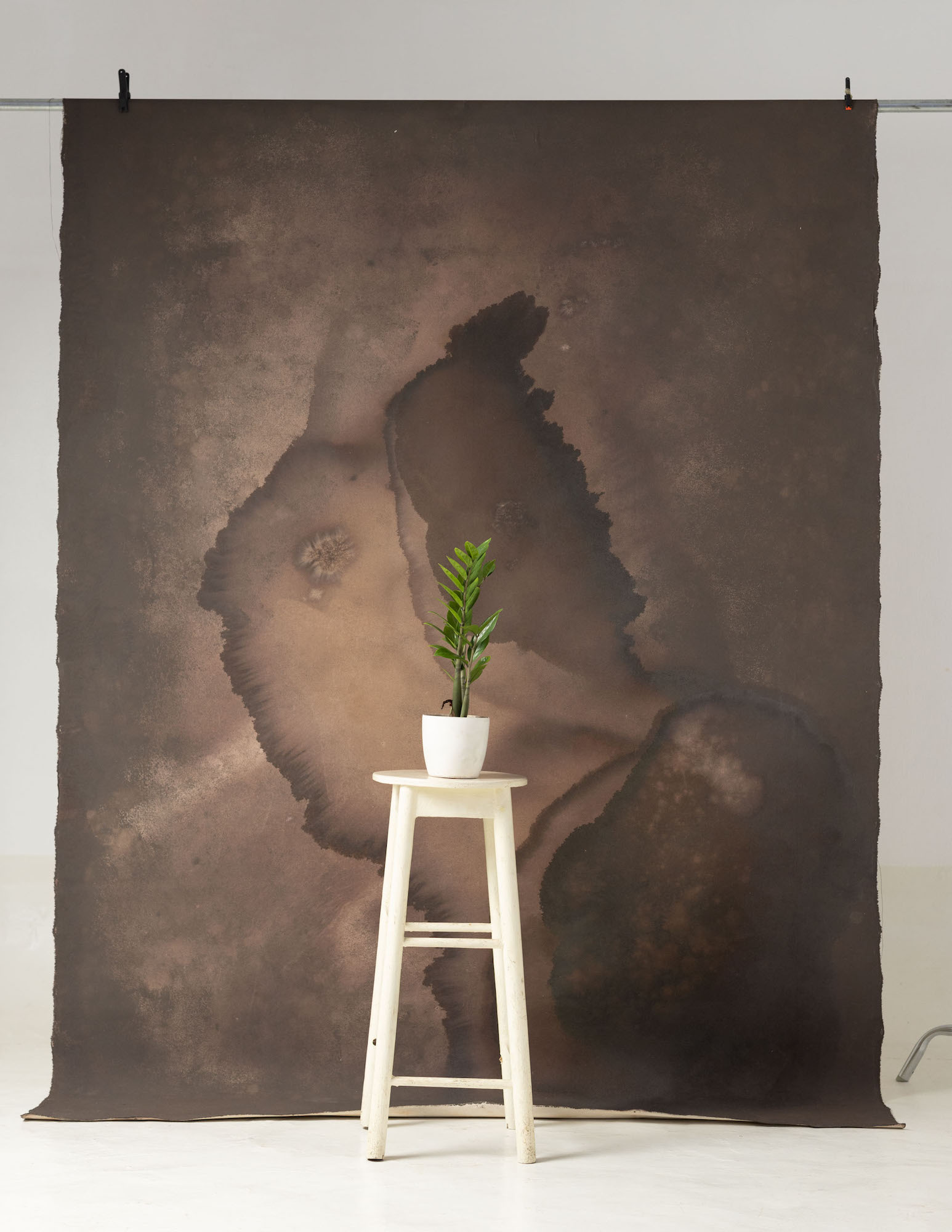 Rose Ebony Painted Canvas Backdrop (SL#227) view 3