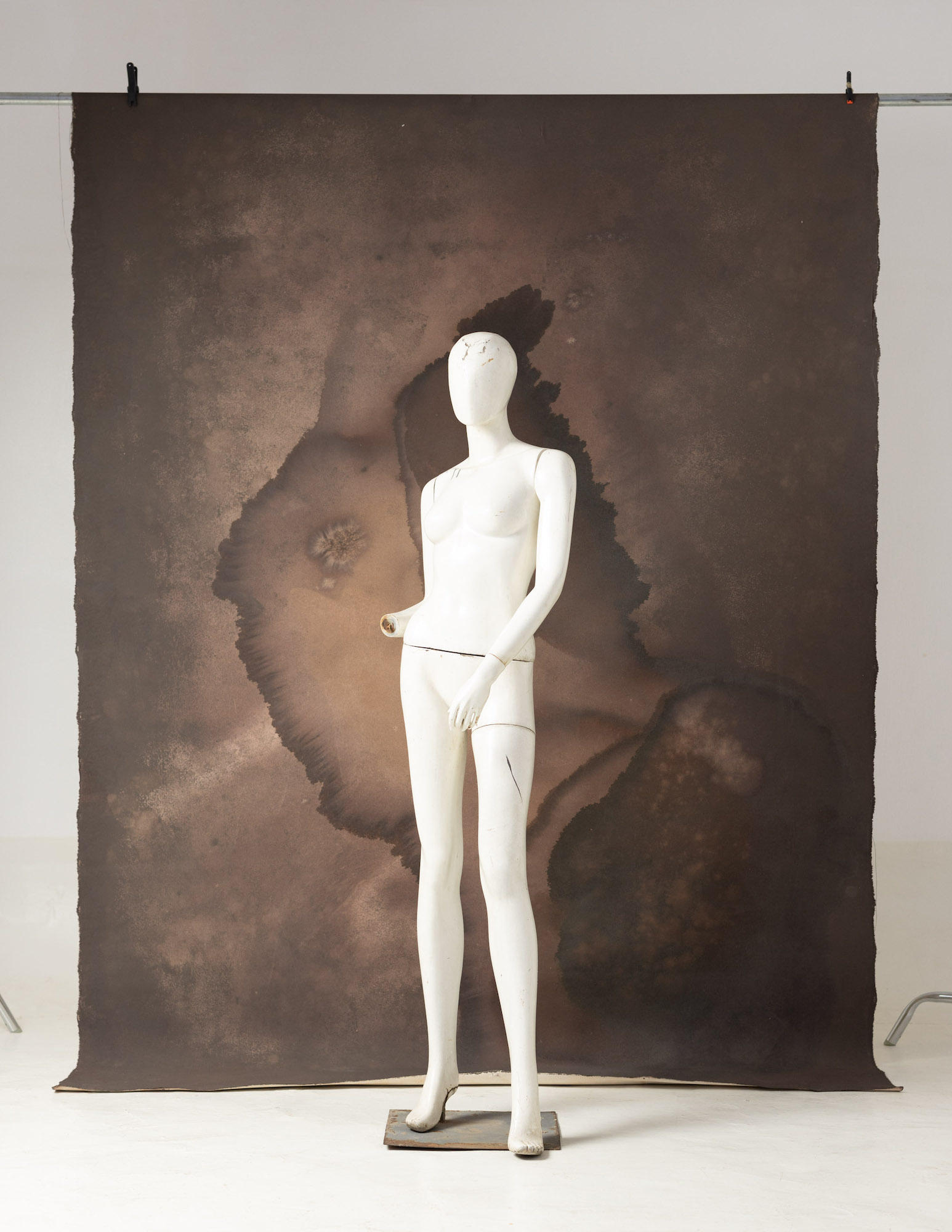 Rose Ebony Painted Canvas Backdrop (SL#227) view 4