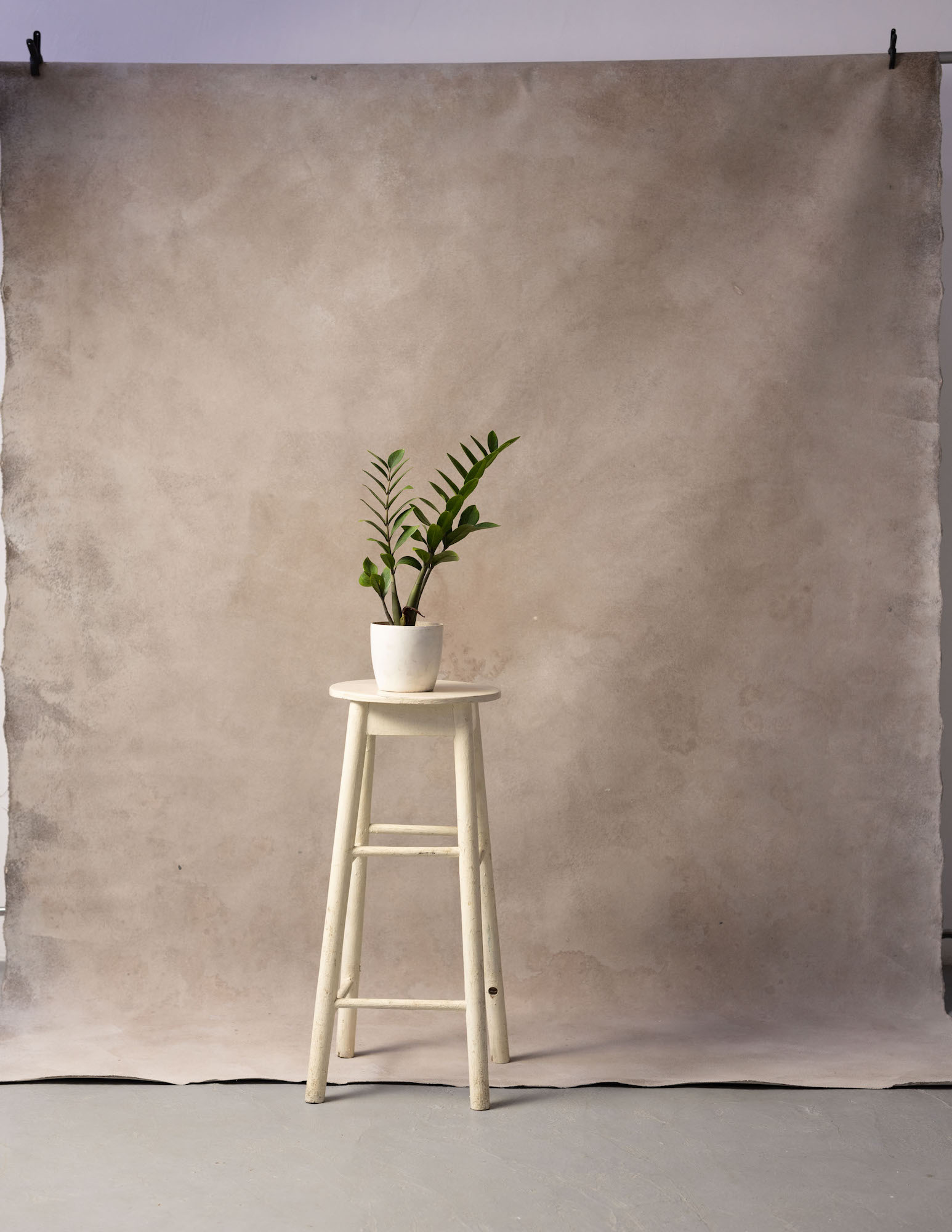 Martini Painted Canvas Backdrop (SL#229) view 3