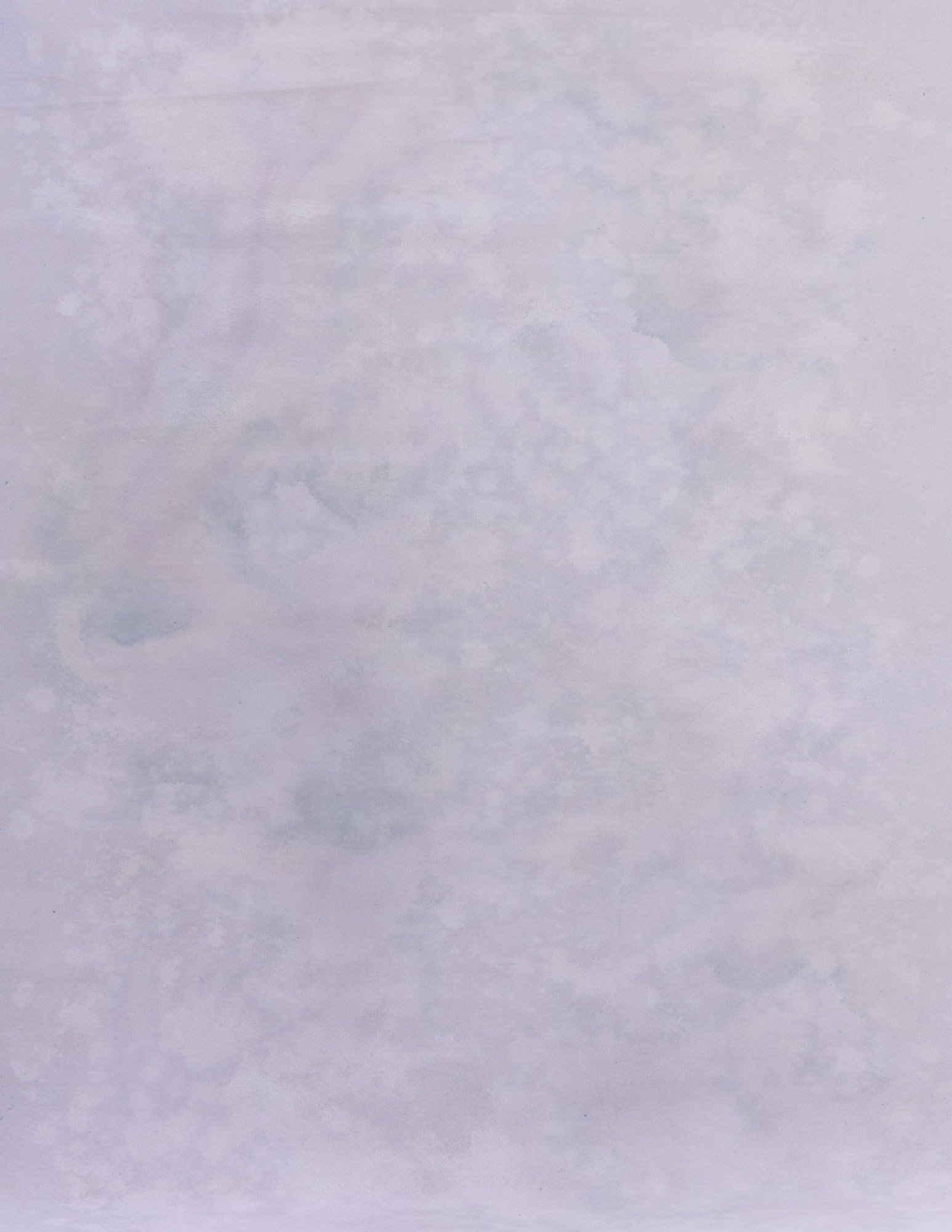 Petite Orchid Painted Canvas Backdrop (RN#211)