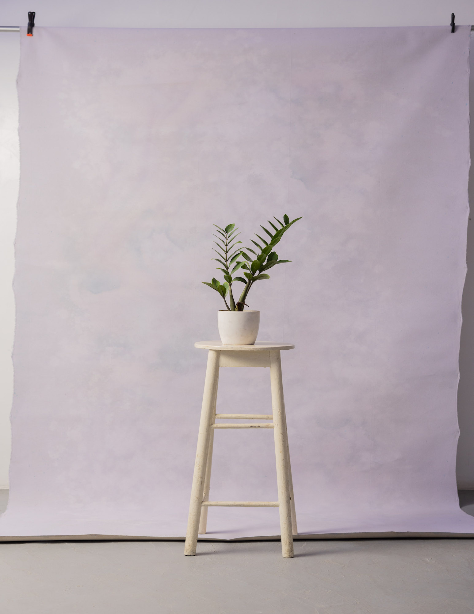 Petite Orchid Painted Canvas Backdrop (RN#211) view 3
