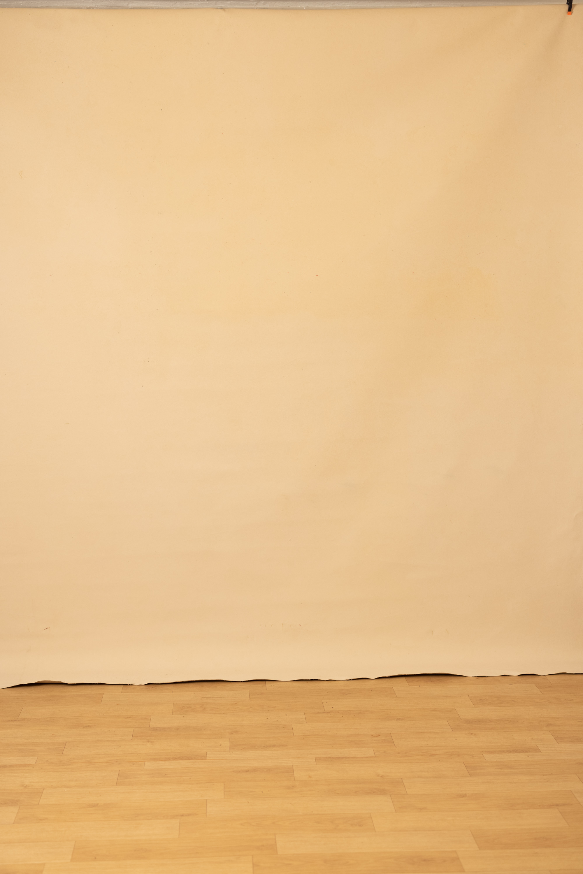 Cashmere Painted Canvas Backdrop (SL#214) view 3