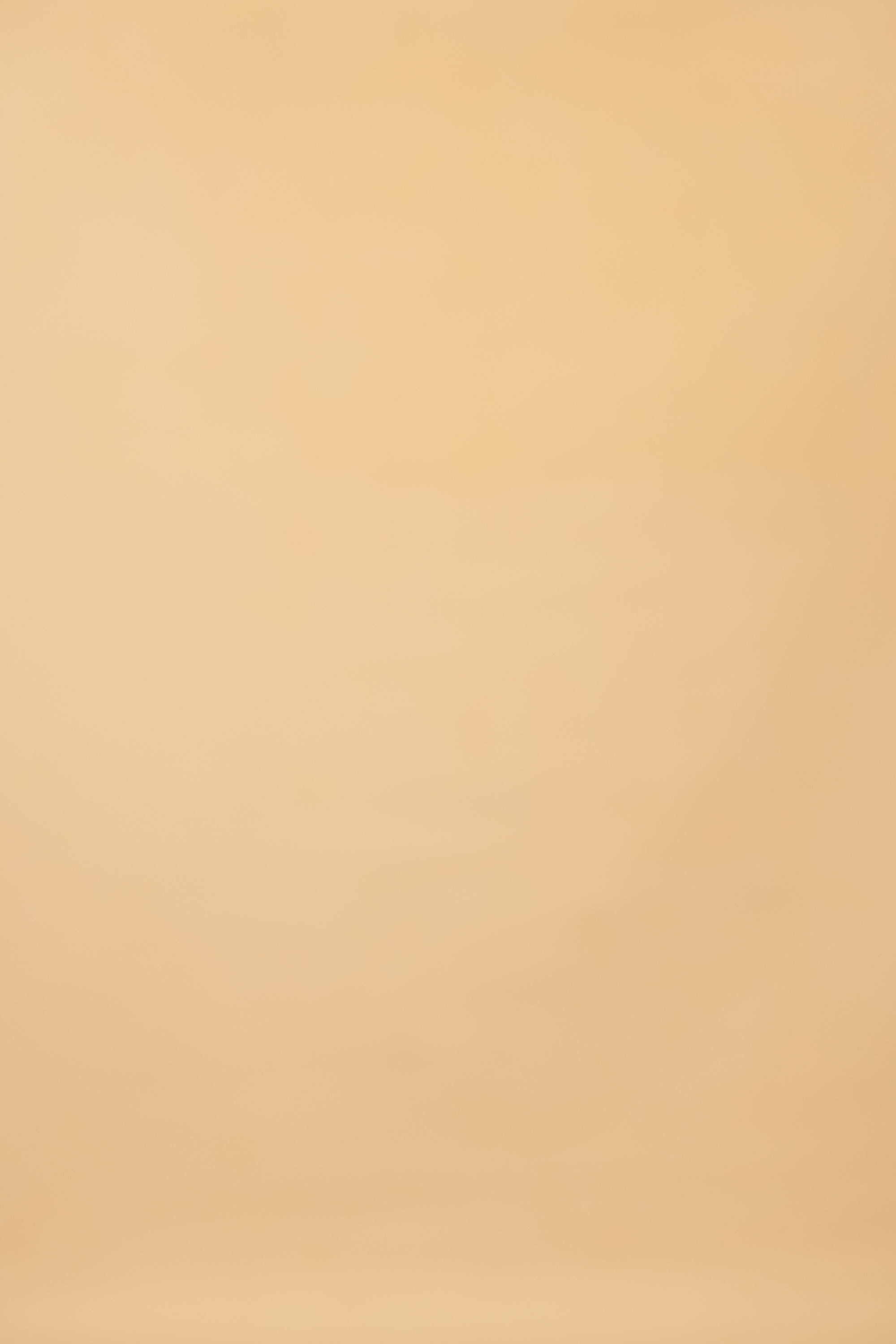 Cashmere Painted Canvas Backdrop (SL#214) view 4