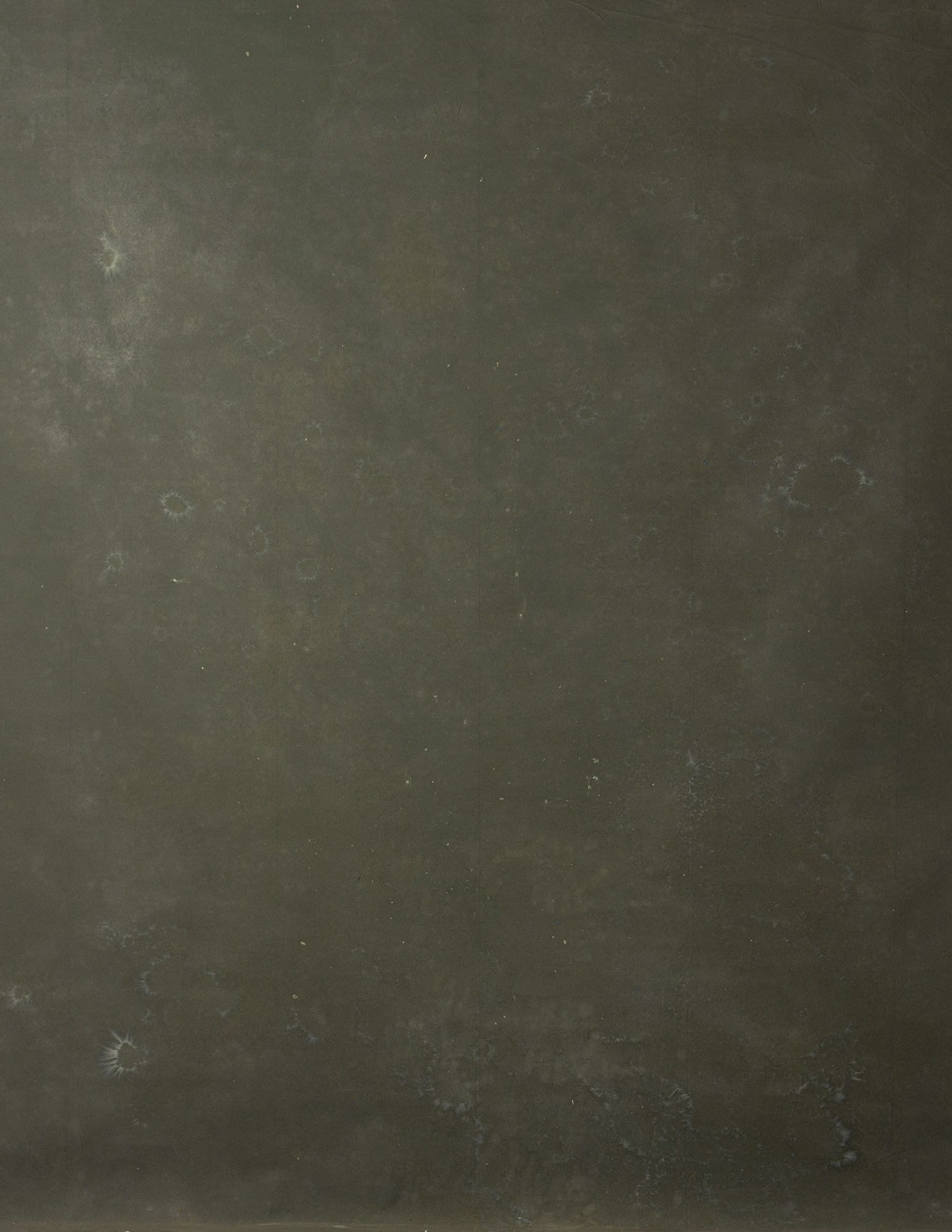 Dark Green Painted Canvas Backdrop (RN#238)