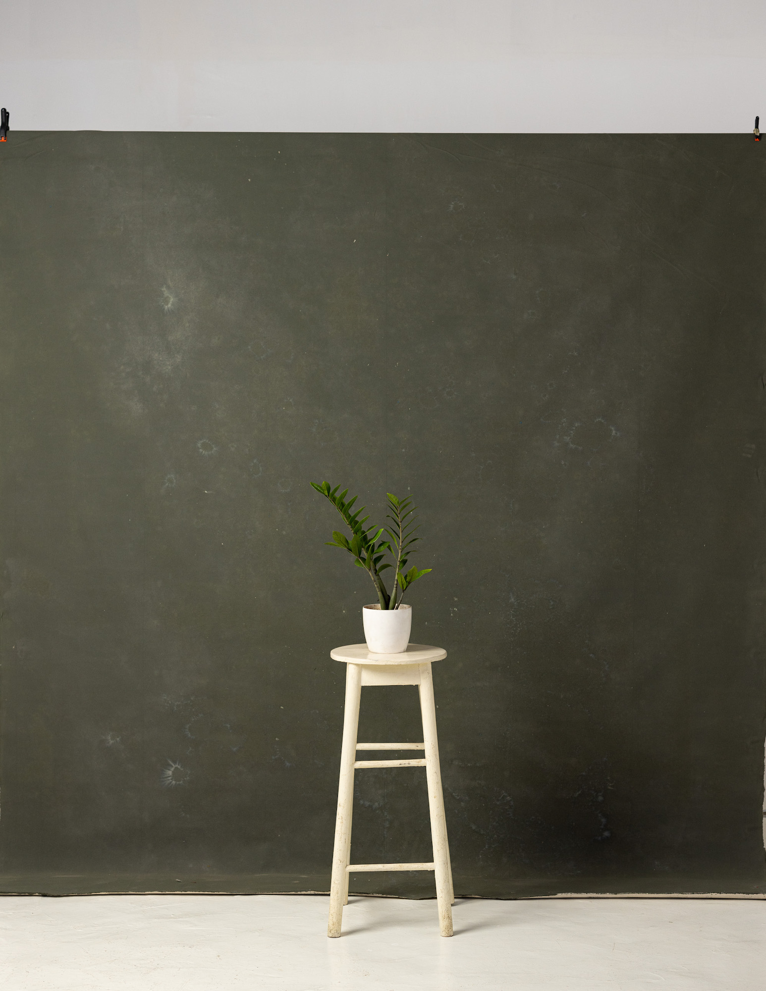 Dark Green Painted Canvas Backdrop (RN#238) view 3