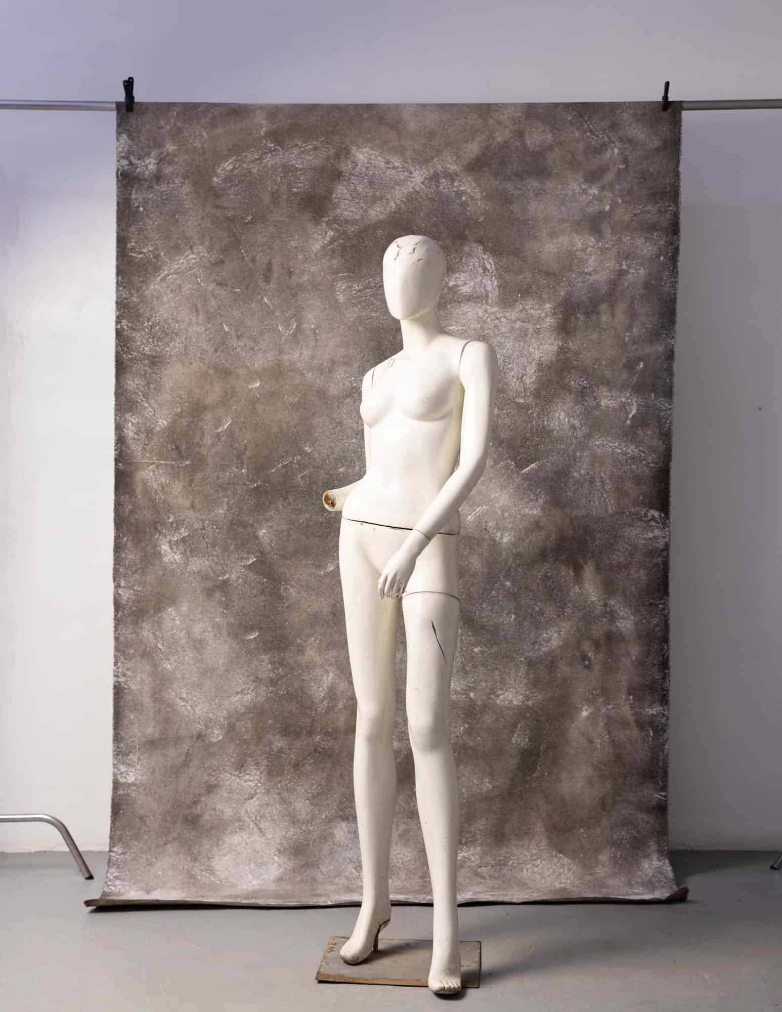 Treeback Painted Canvas Backdrop (RN#04) view 4