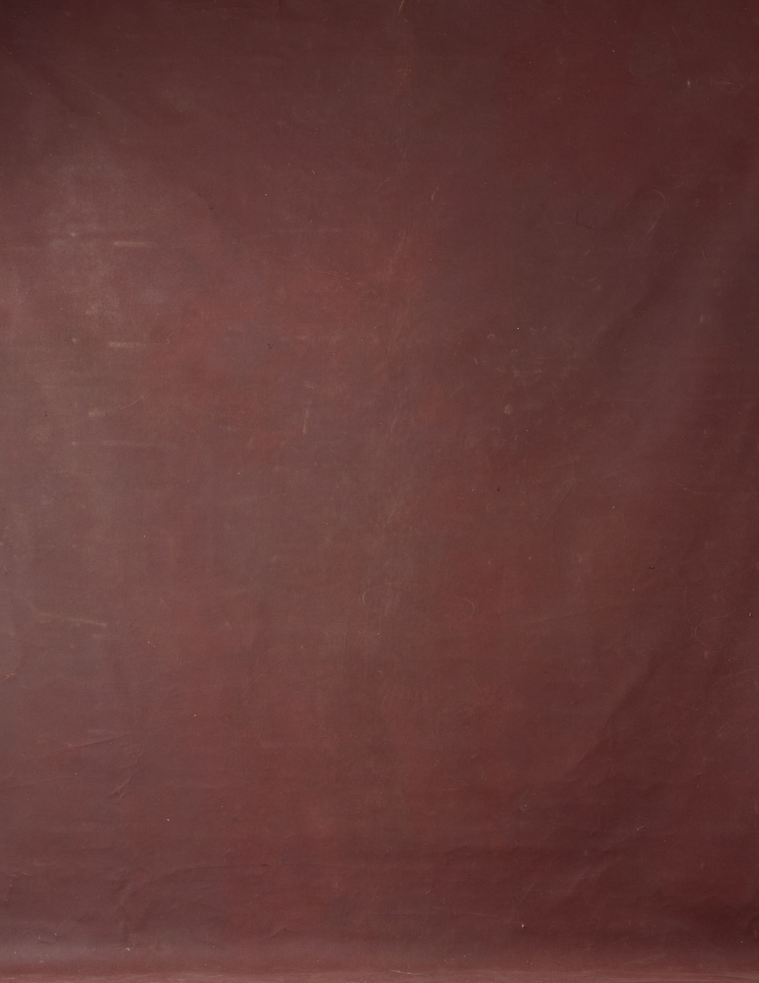 Cocoa Bean Painted Canvas Backdrop (RN#38)