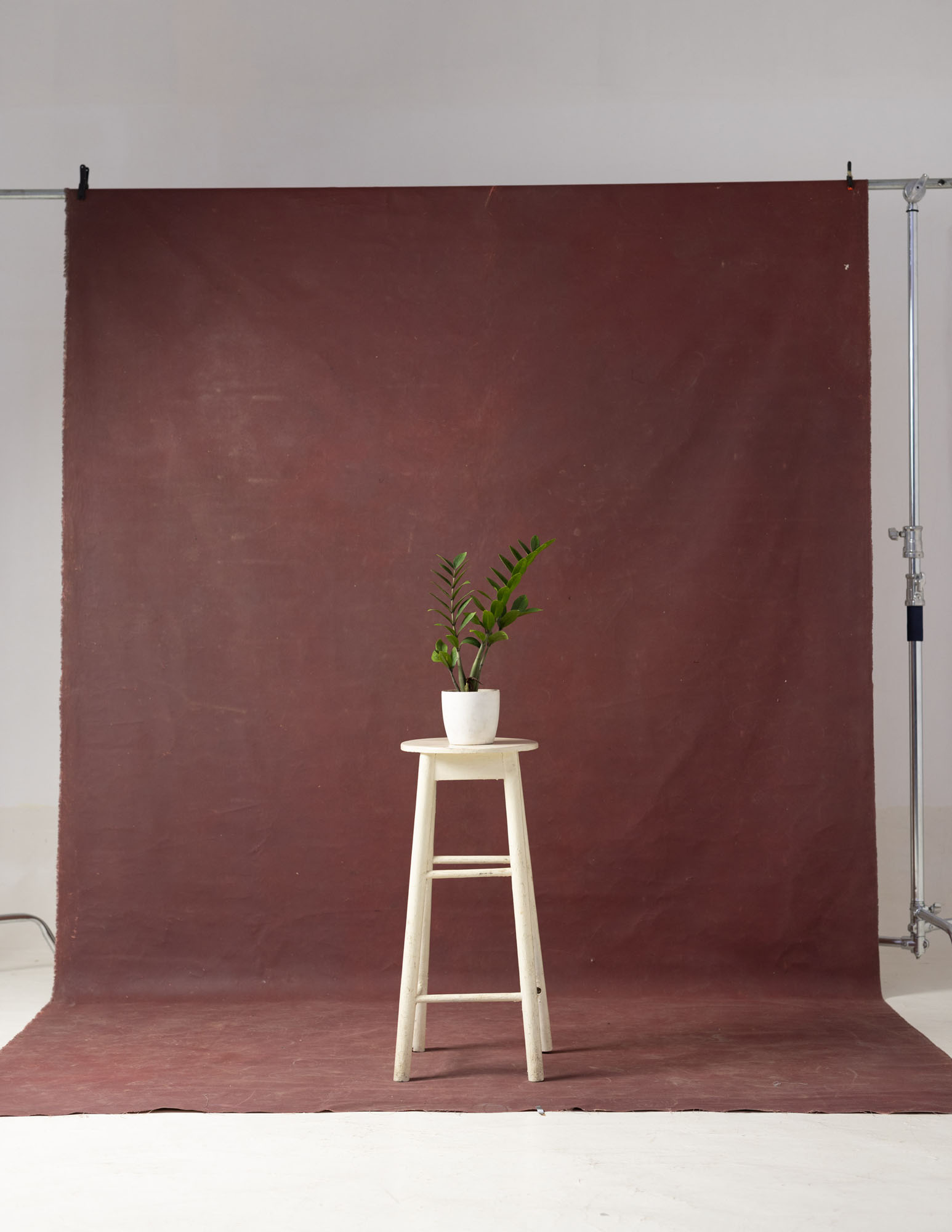 Cocoa Bean Painted Canvas Backdrop (RN#38) view 3