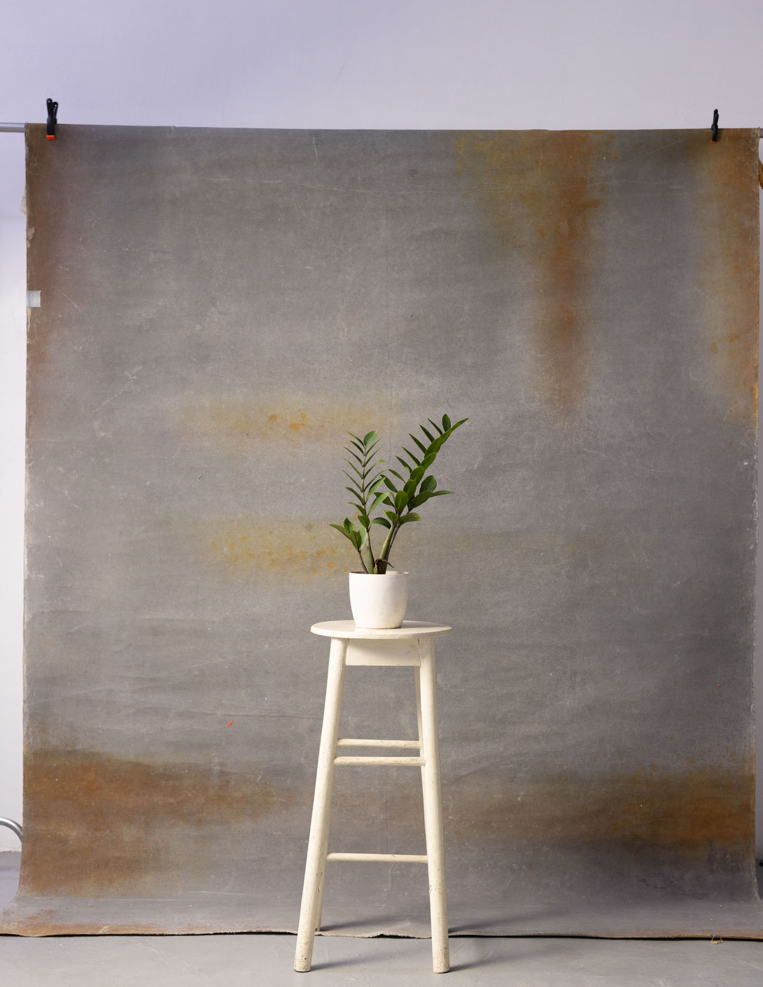 Dorado Painted Canvas Backdrop (RN#21) view 3