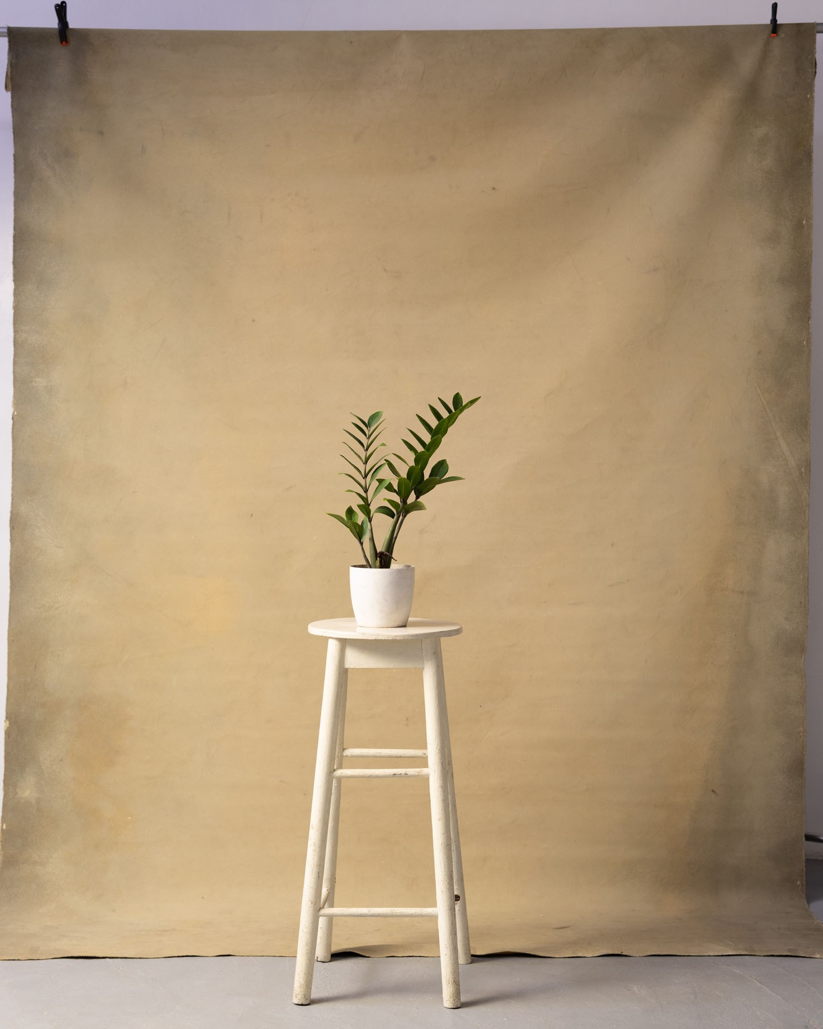 Coffee Cream Painted Canvas Backdrop (RN#59) view 5