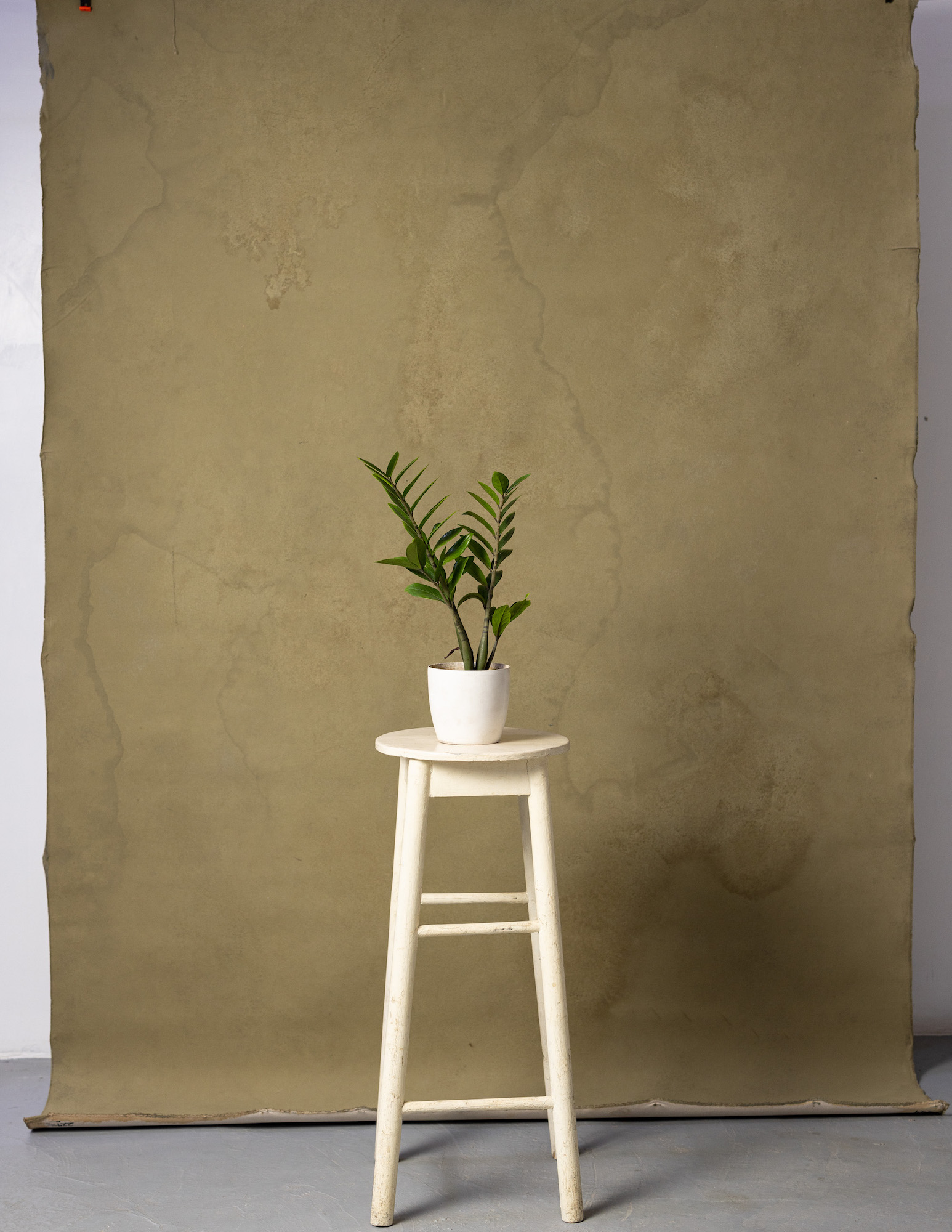 Muddy Waters Painted Canvas Backdrop (RN#224) view 3