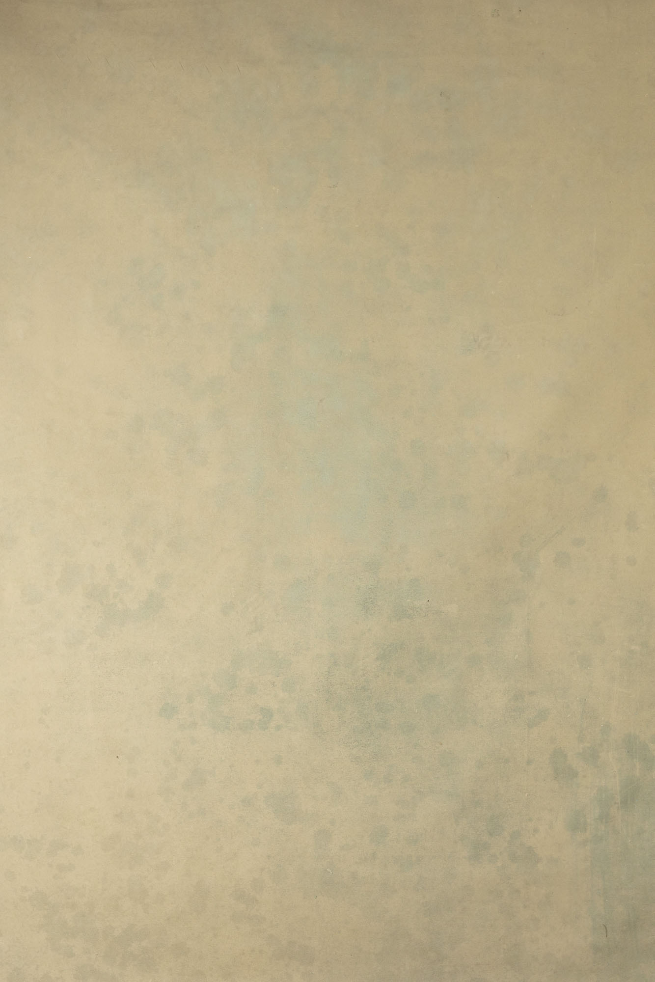Muesli Painted Canvas Backdrop (RN#212)