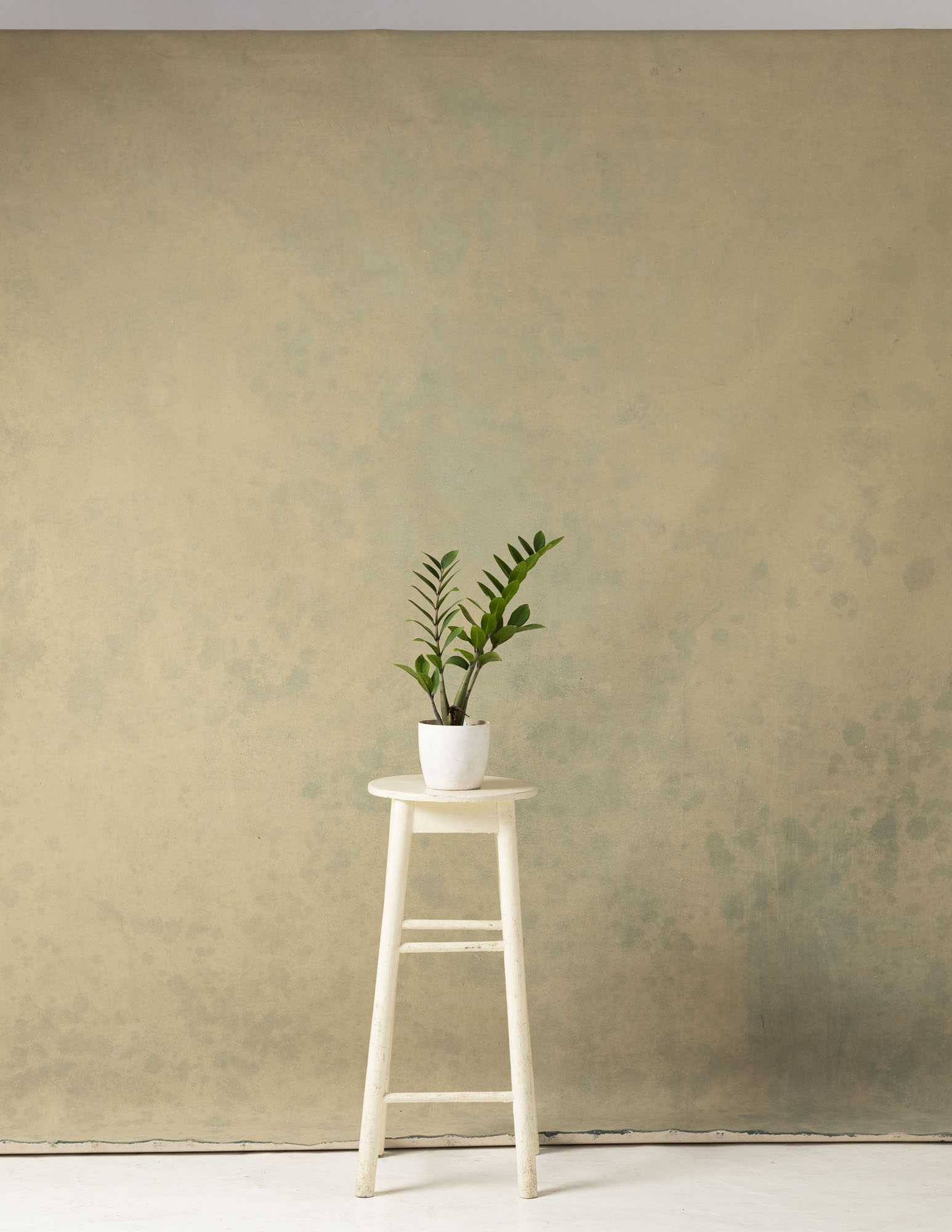 Muesli Painted Canvas Backdrop (RN#212) view 3