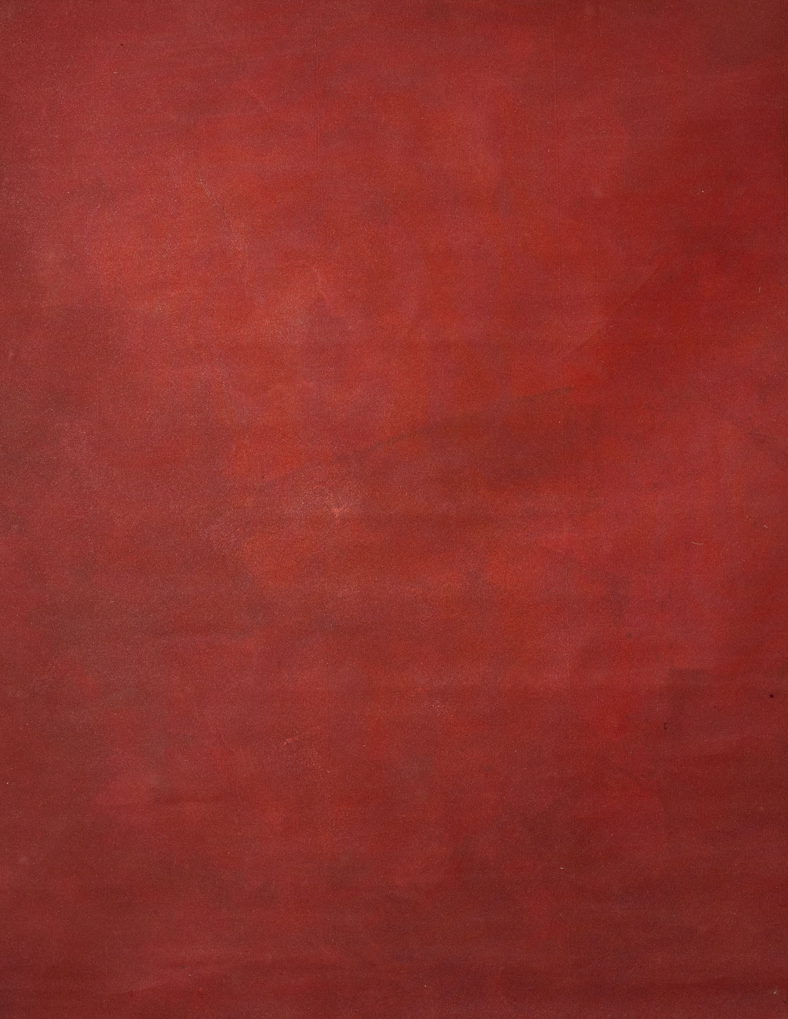 Terracotta Painted Canvas Backdrop (RN#125)