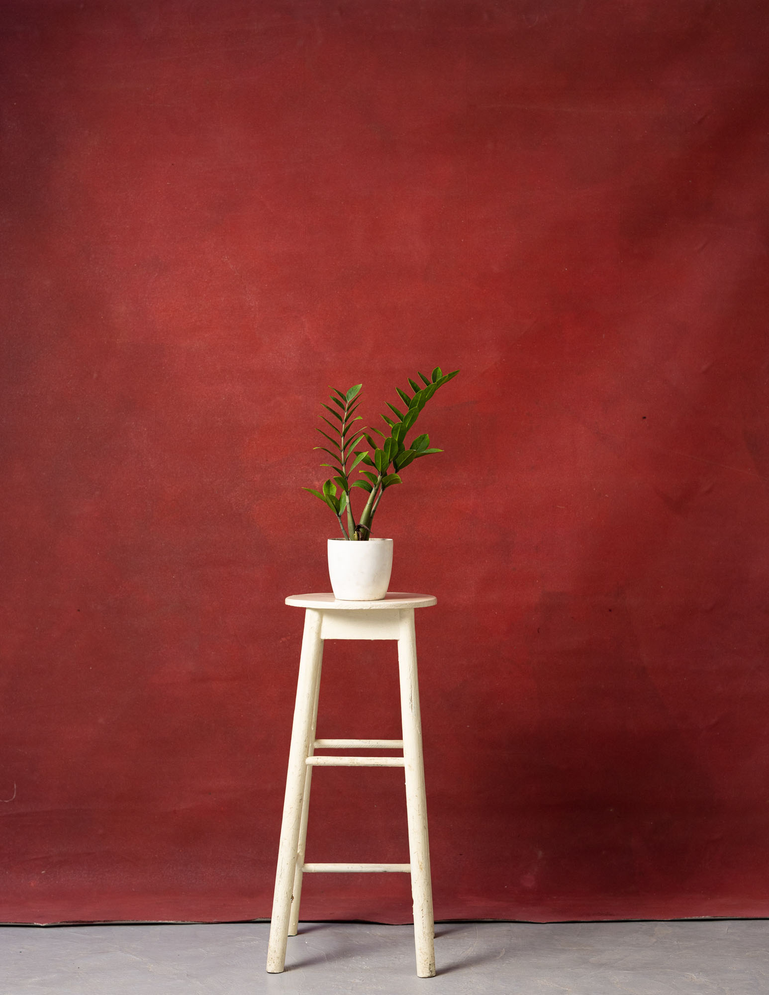 Terracotta Painted Canvas Backdrop (RN#125) view 3