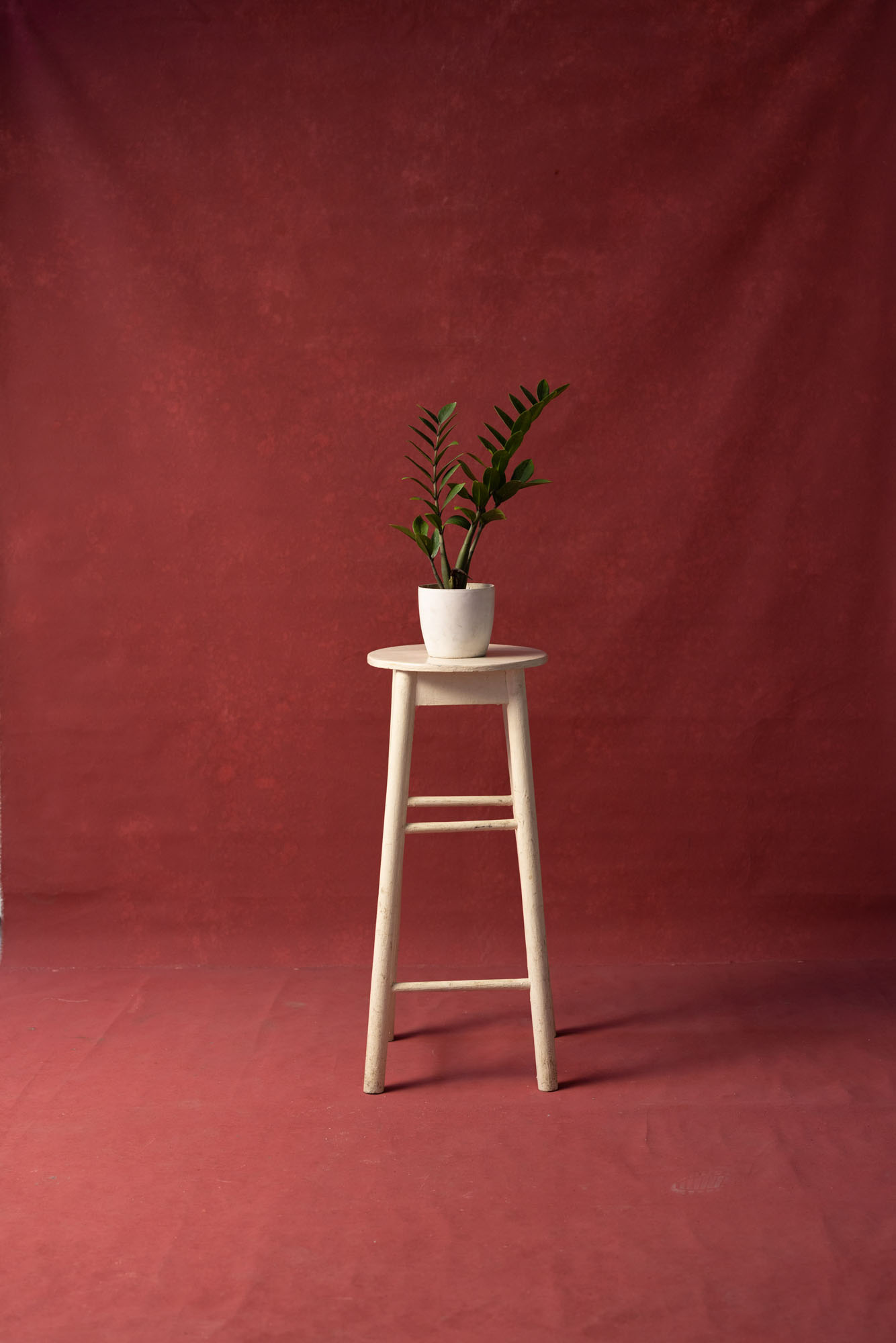 Vivid Auburn Painted Canvas Backdrop (RN#149) view 3