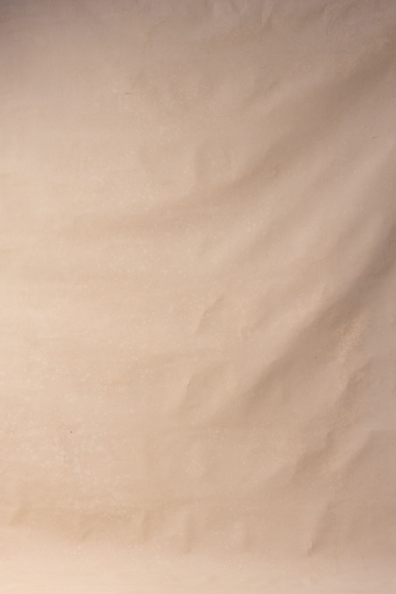Antique Brass Painted Canvas Backdrop (RN#215)