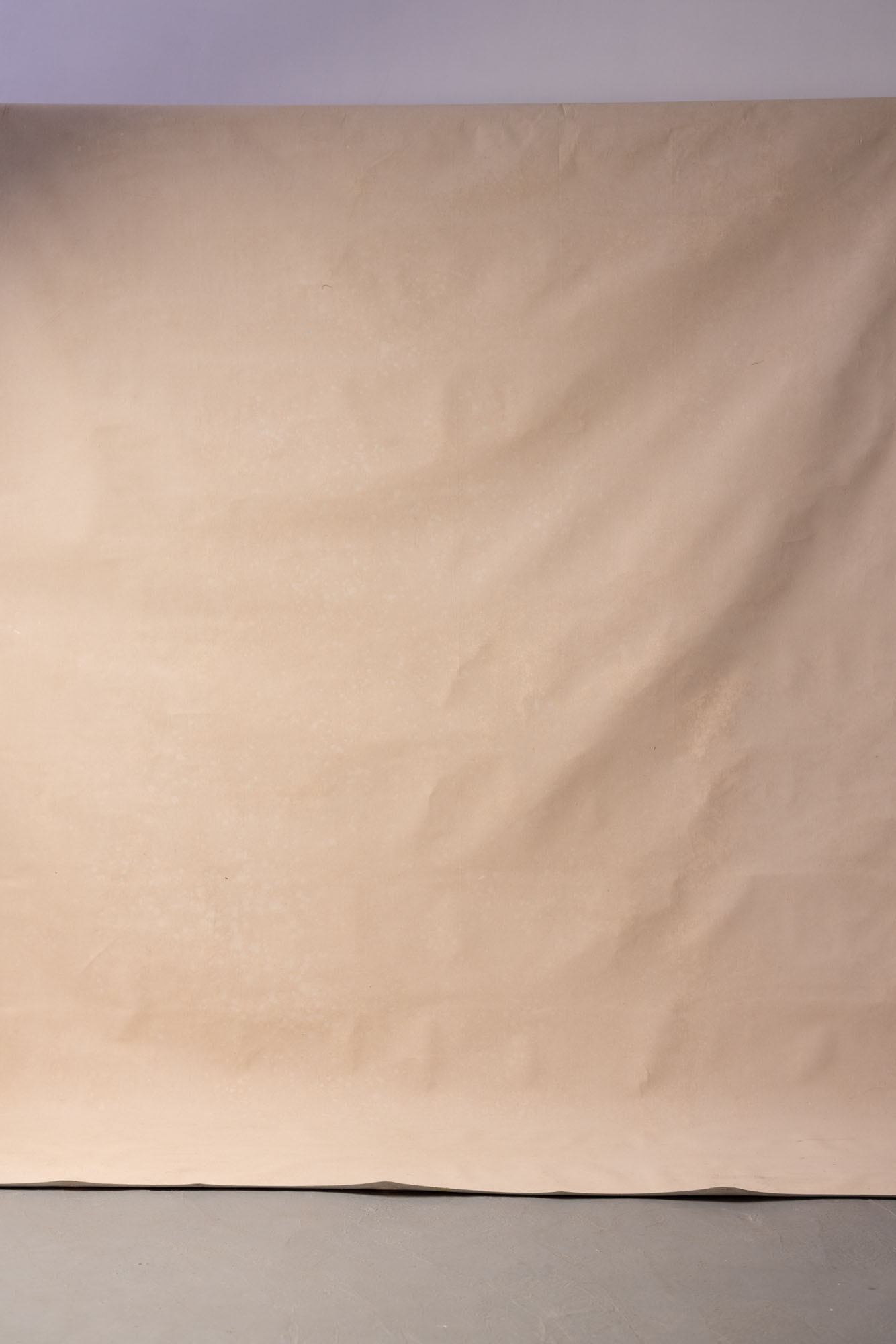 Antique Brass Painted Canvas Backdrop (RN#215) view 2