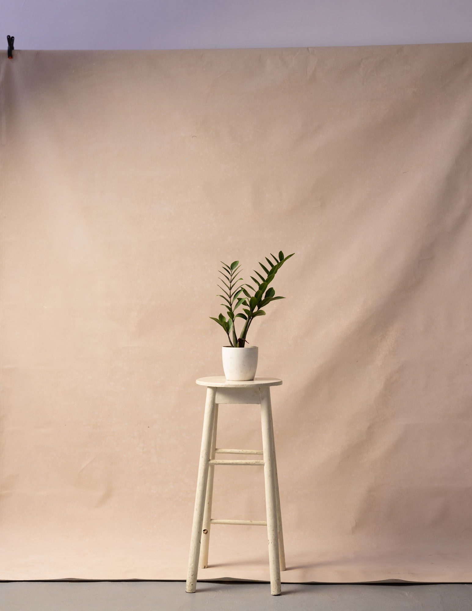 Antique Brass Painted Canvas Backdrop (RN#215) view 3