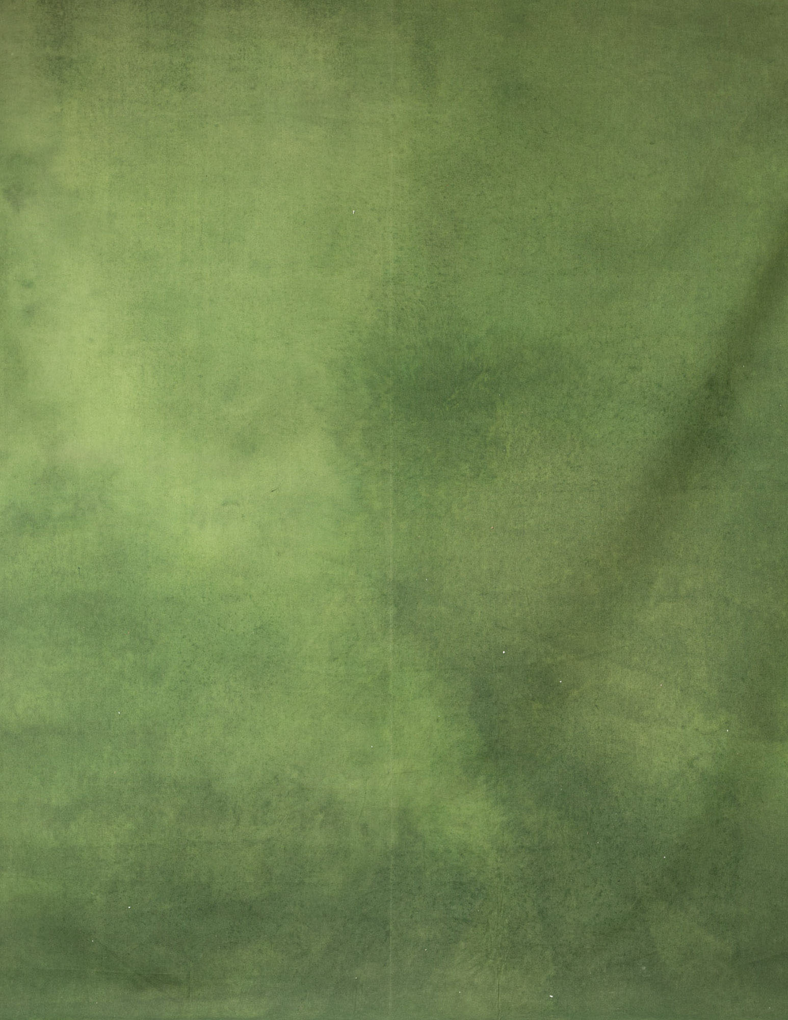 Army Green Painted Canvas Backdrop (RN#51)