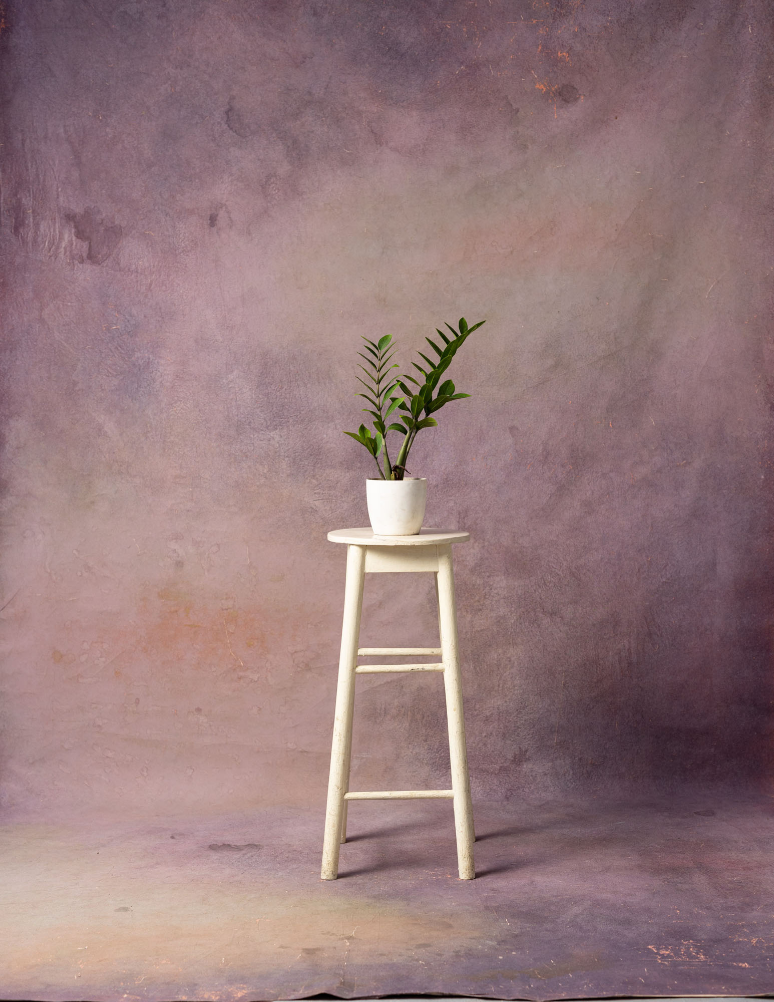 Ferra Painted Canvas Backdrop (RN#44) view 3
