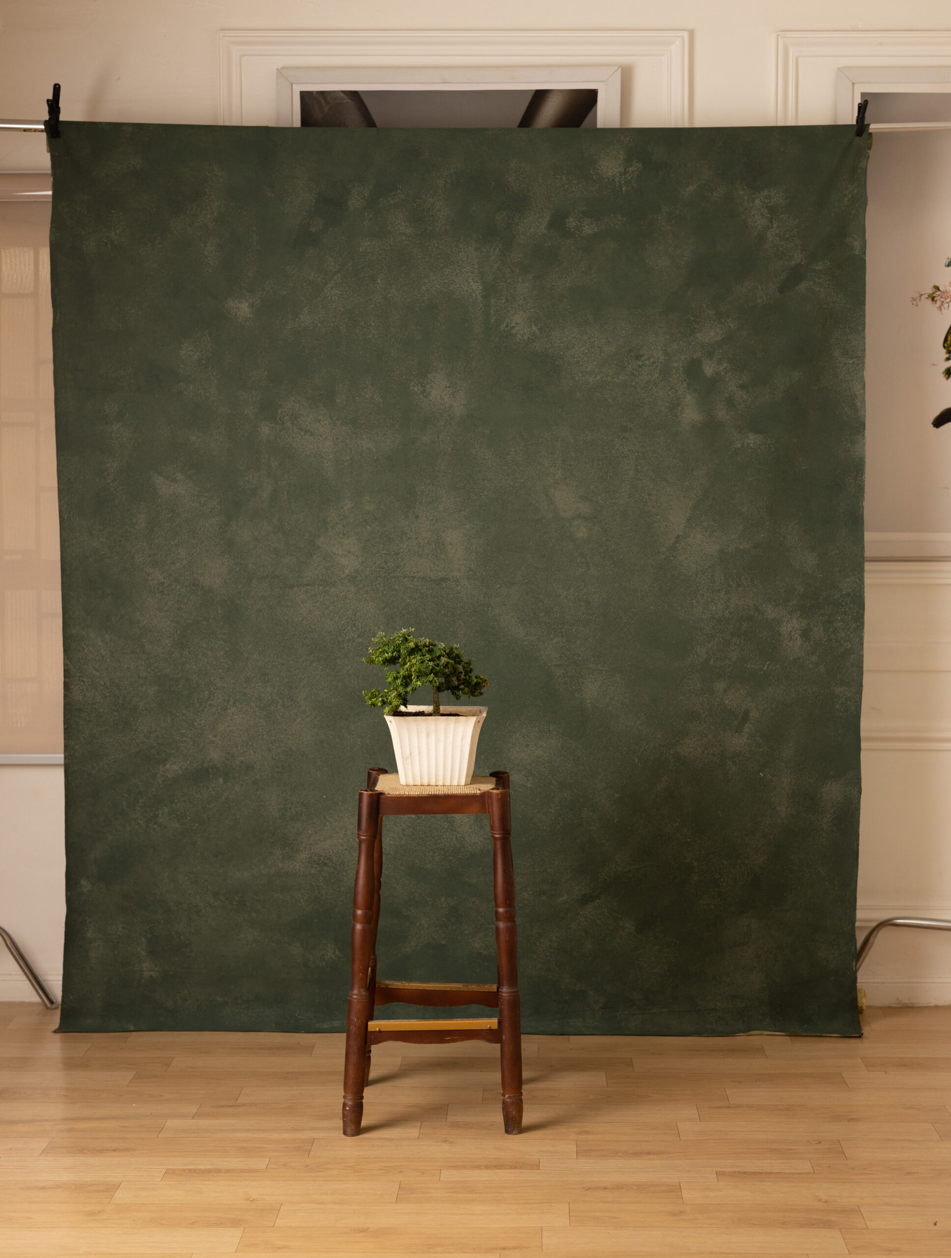 Woodland Painted Canvas Backdrop (RN#39) view 3