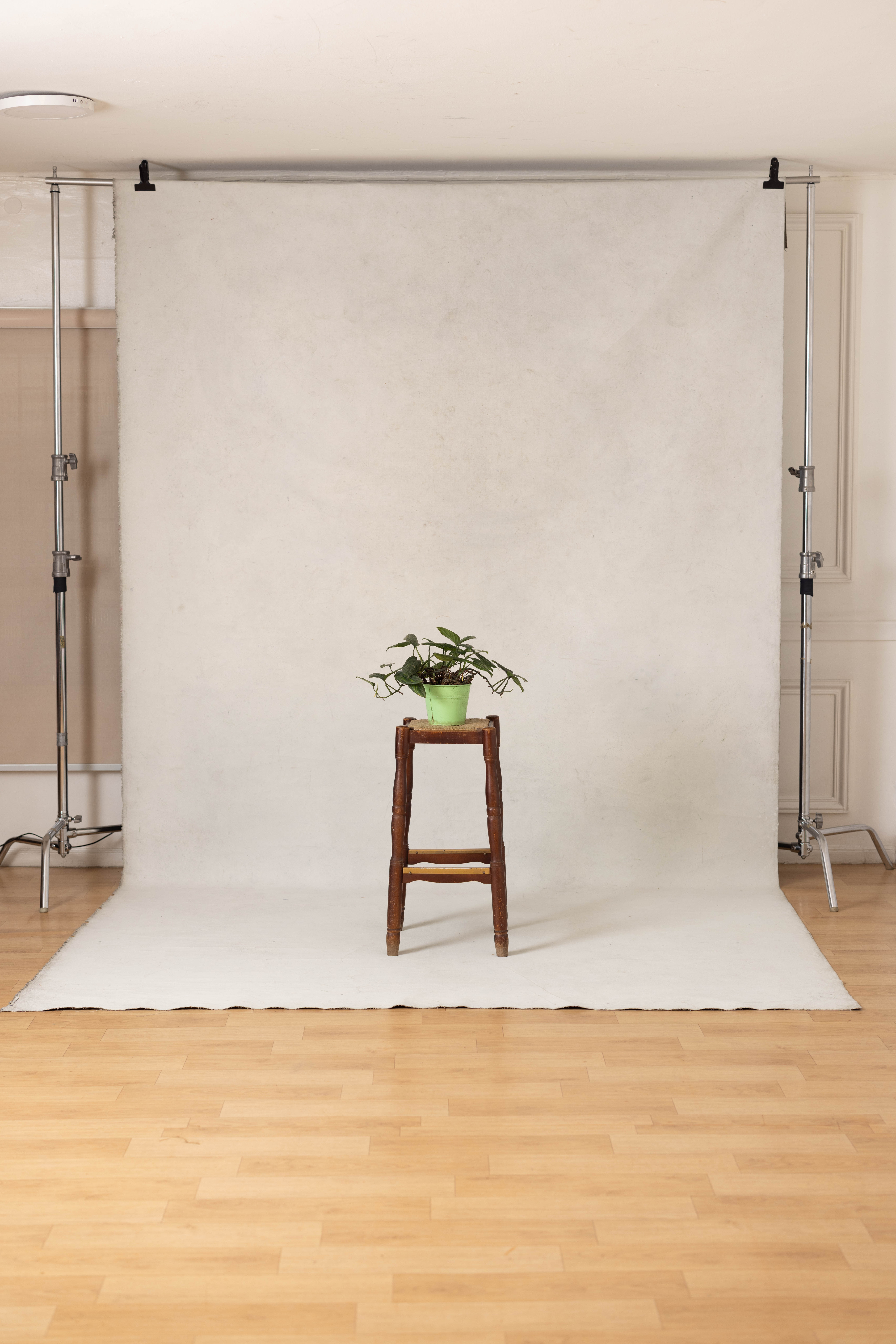 Pale Nickel and Liver Painted Canvas Backdrop (RN#46)