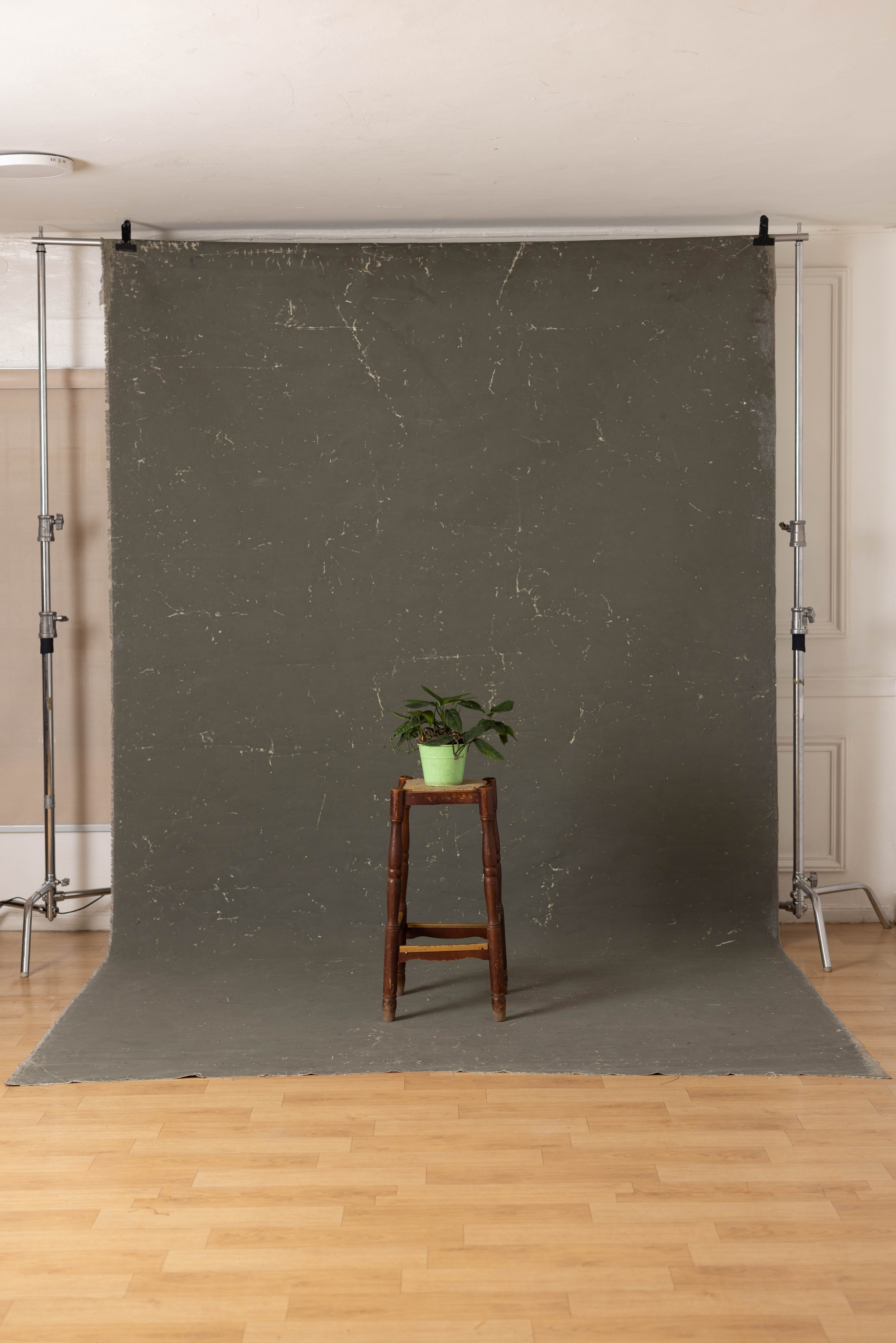 Pale Nickel and Liver Painted Canvas Backdrop (RN#46) view 2