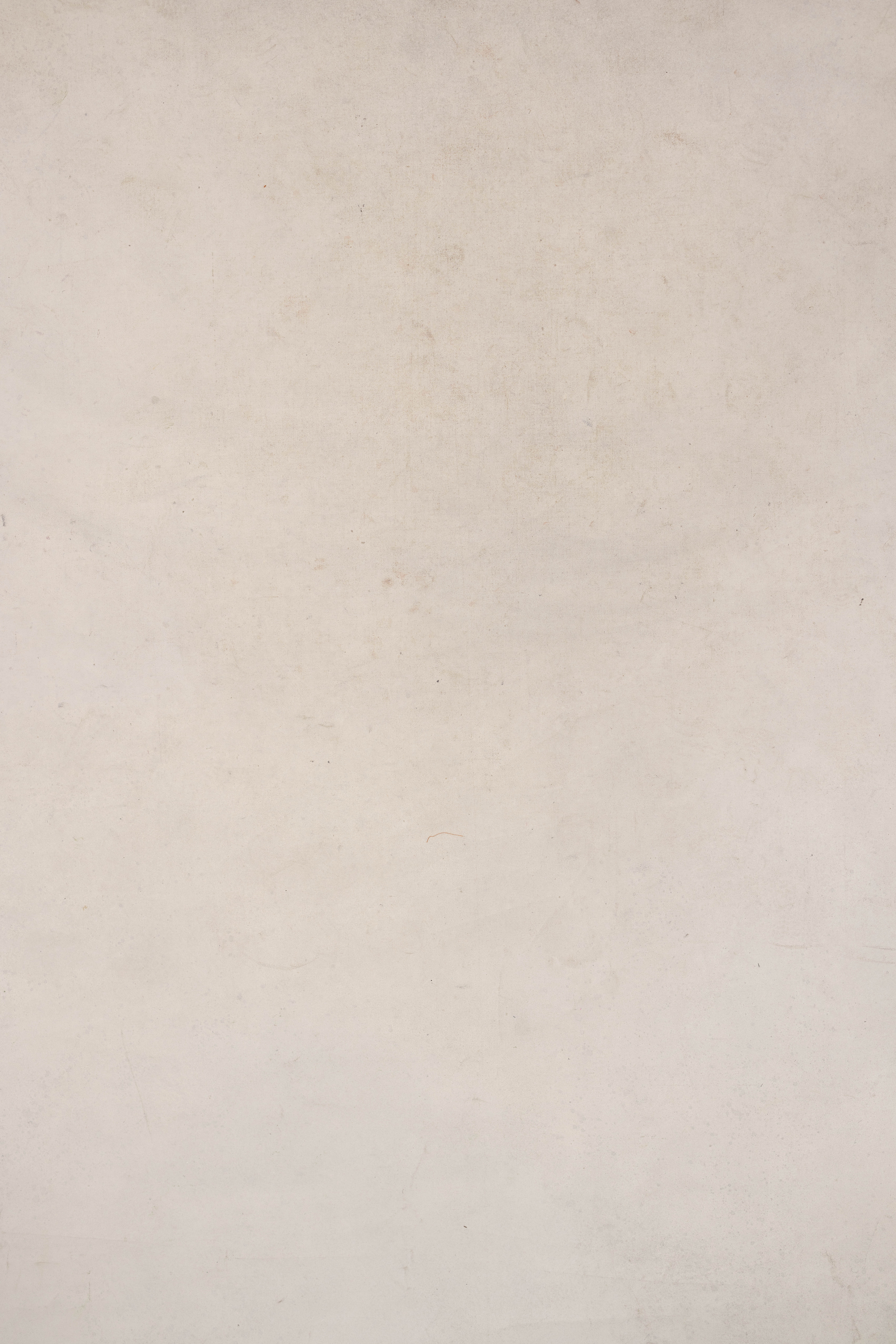 Pale Nickel and Liver Painted Canvas Backdrop (RN#46) view 6