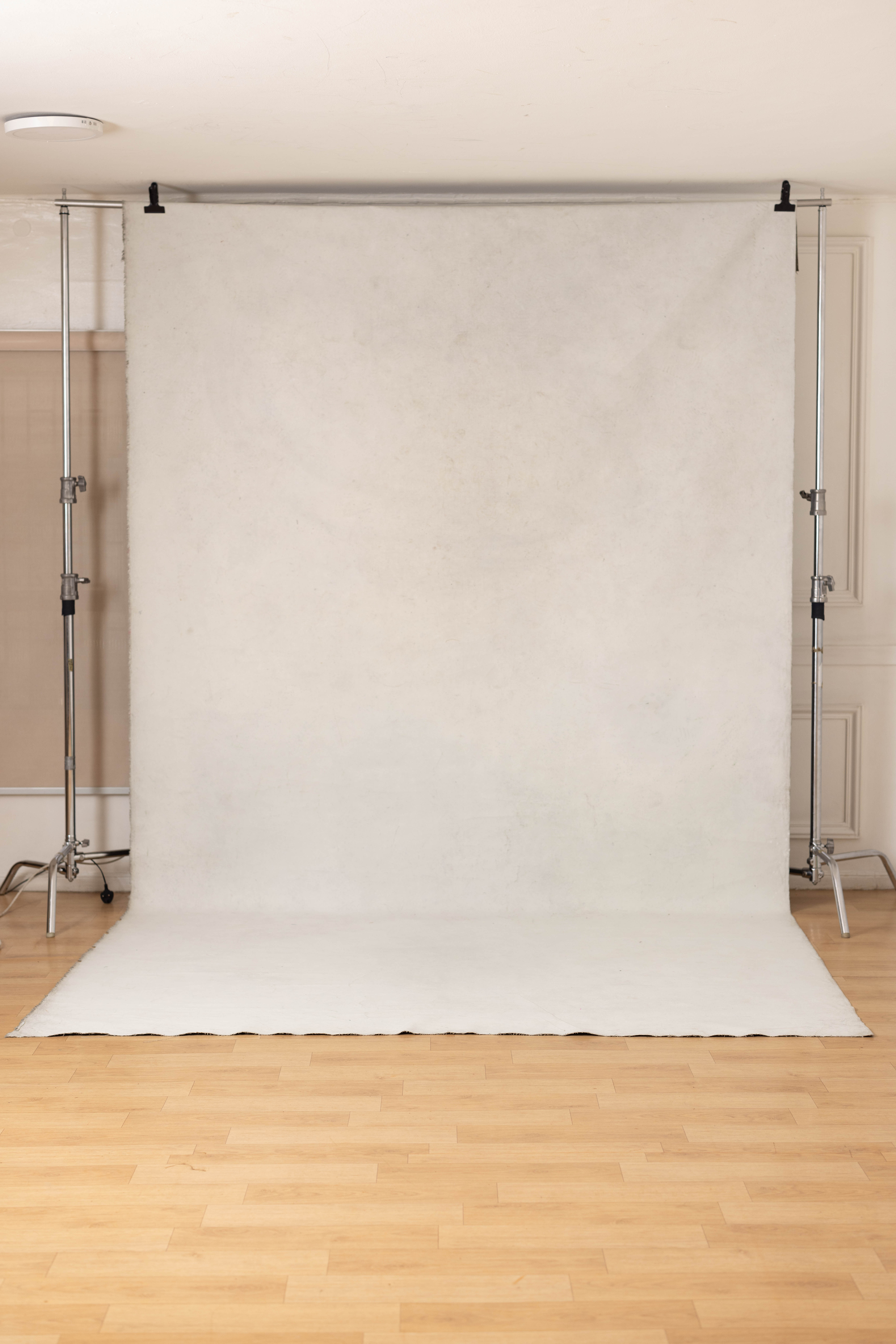 Pale Nickel and Liver Painted Canvas Backdrop (RN#46) view 7