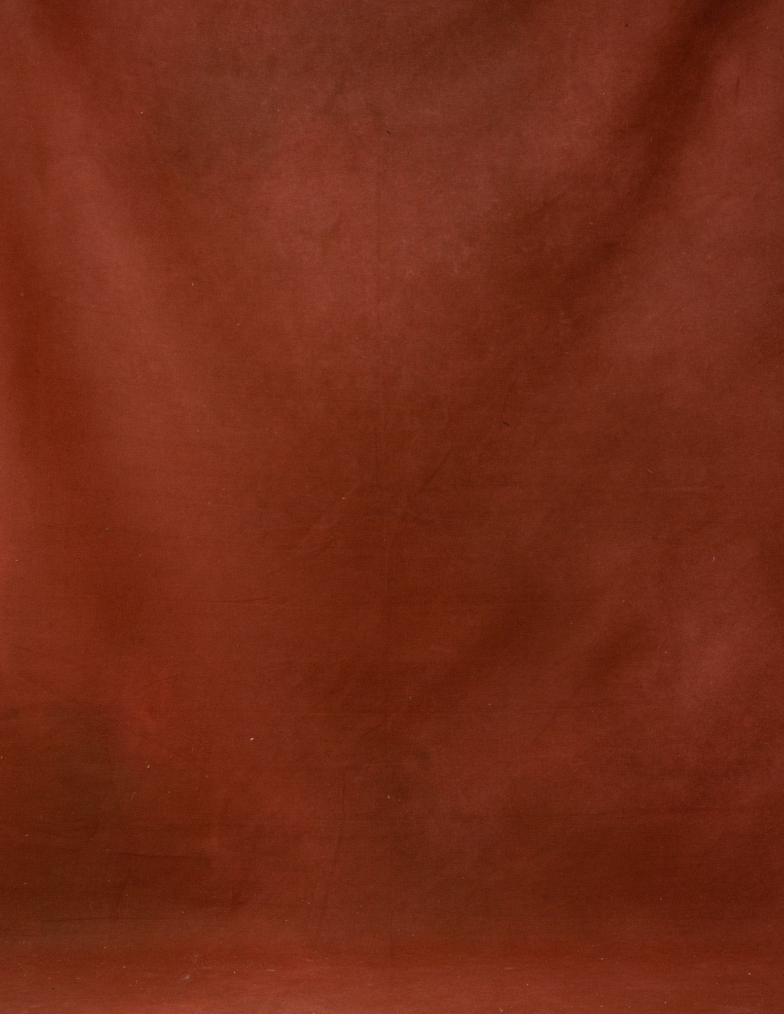 Redwood Painted Canvas Backdrop (RN#64)