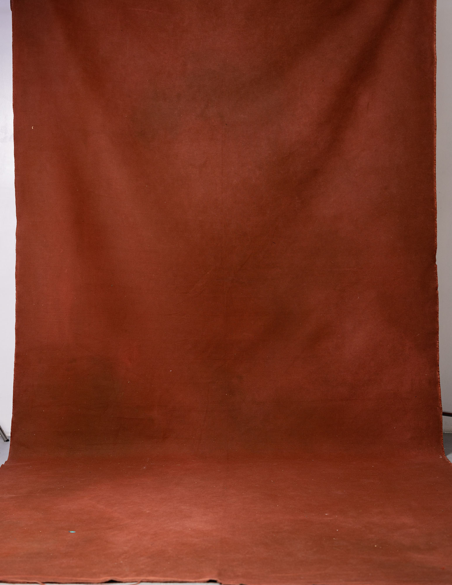 Redwood Painted Canvas Backdrop (RN#64) view 2