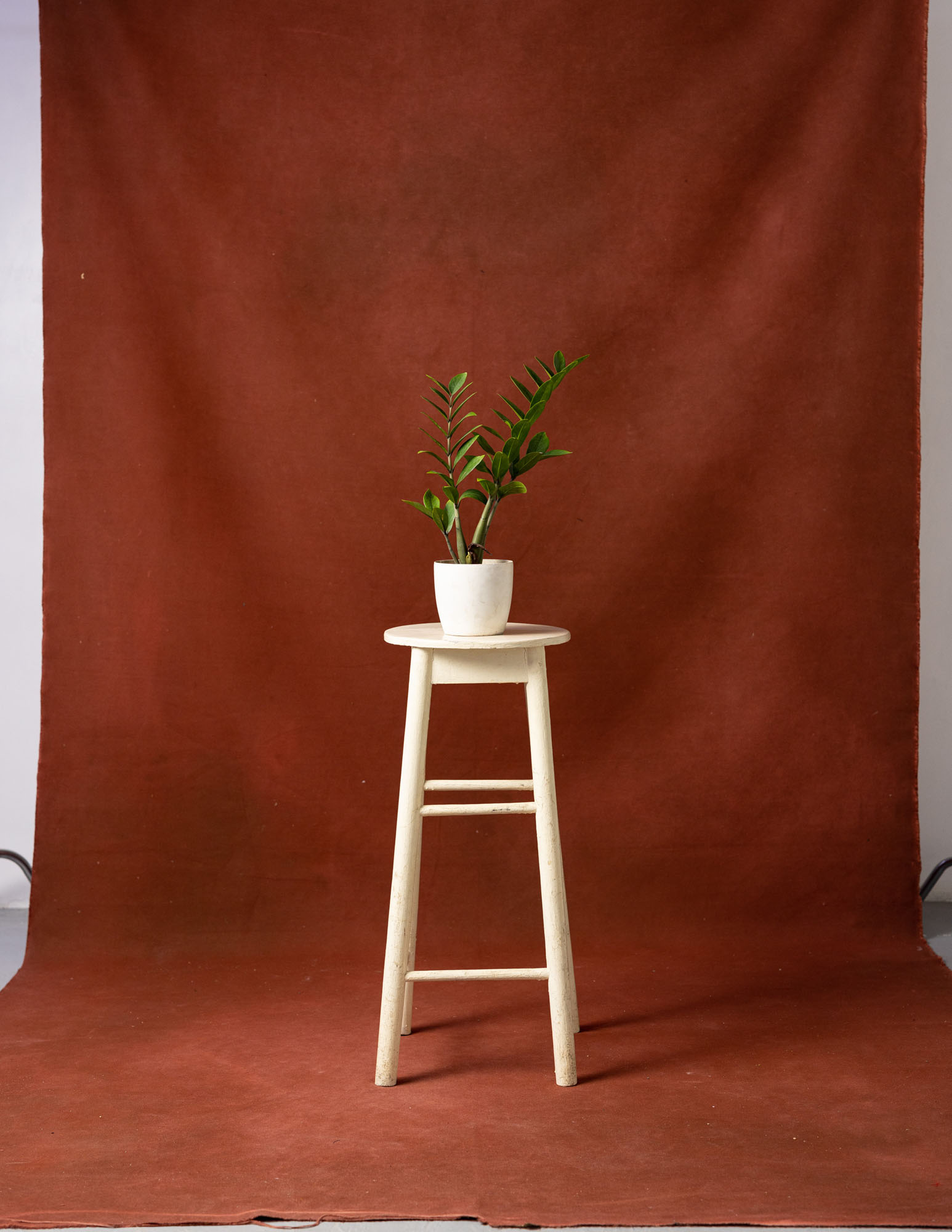 Redwood Painted Canvas Backdrop (RN#64) view 3