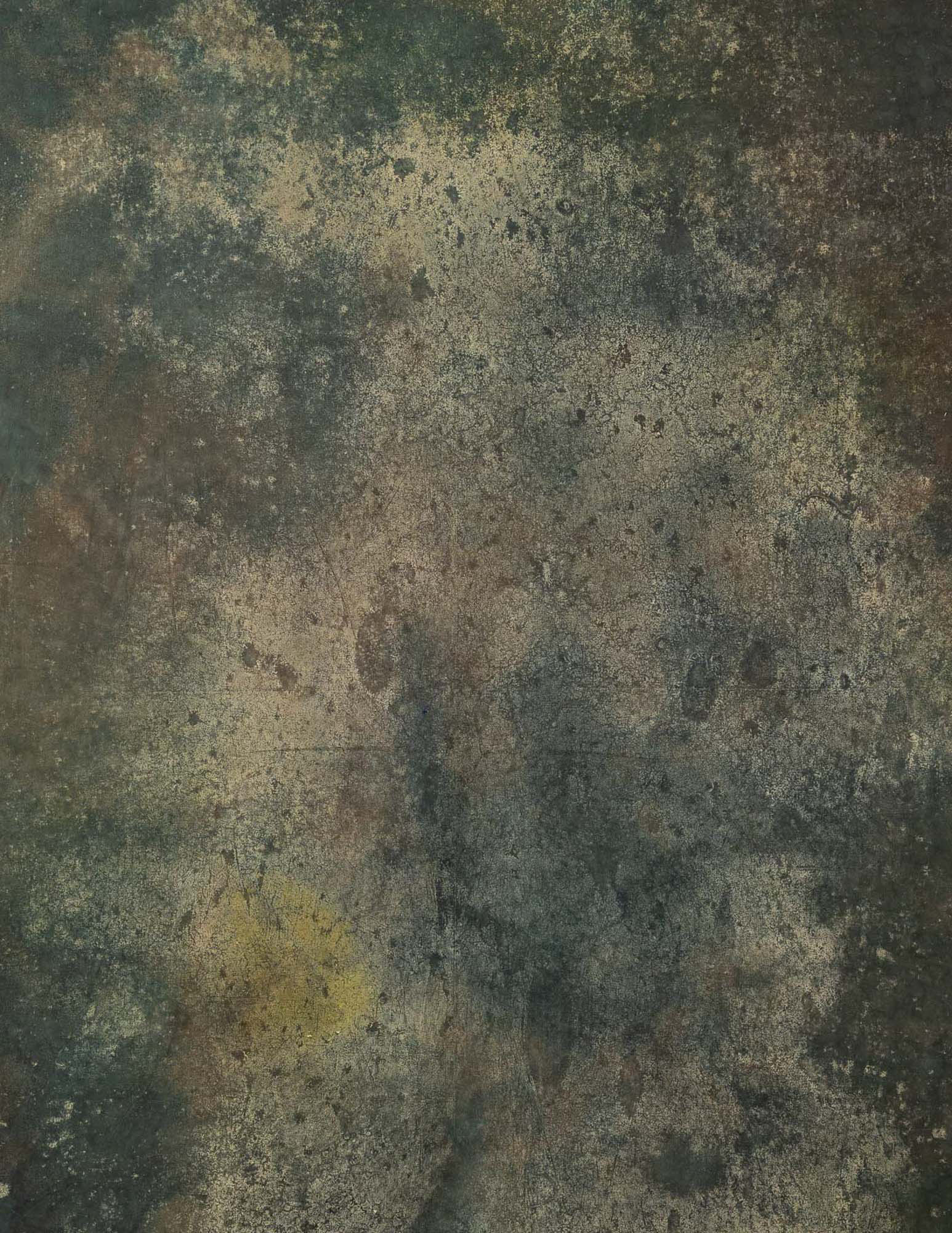 Camel Grunge Painted Canvas Backdrop (RN#41)