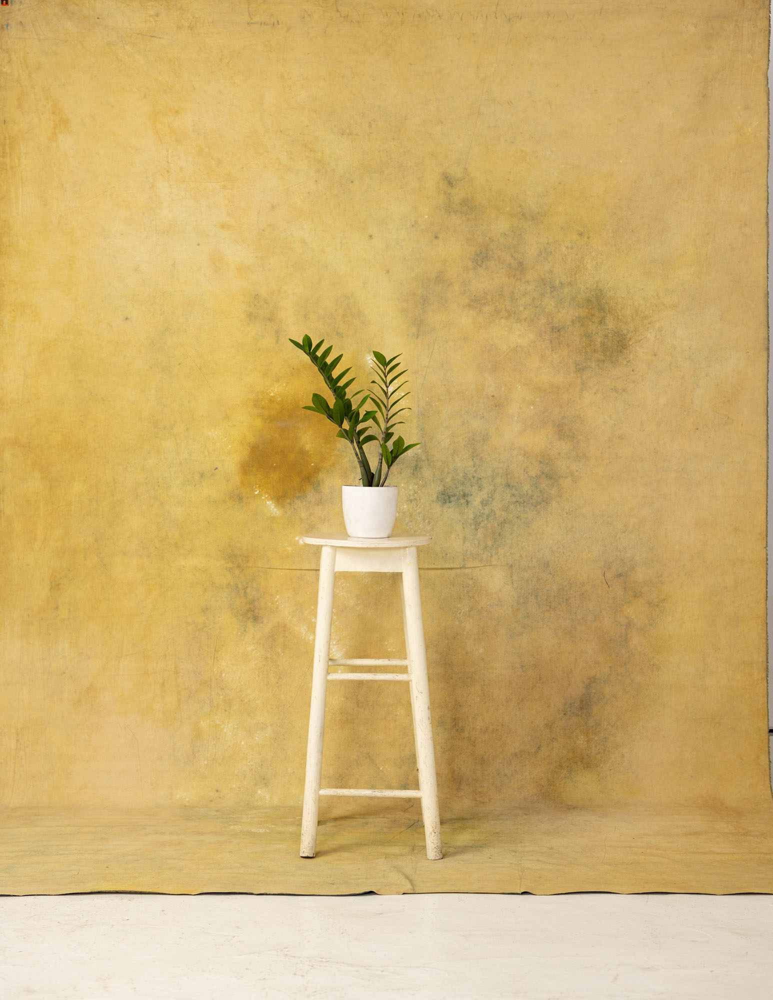 Camel Grunge Painted Canvas Backdrop (RN#41) view 6