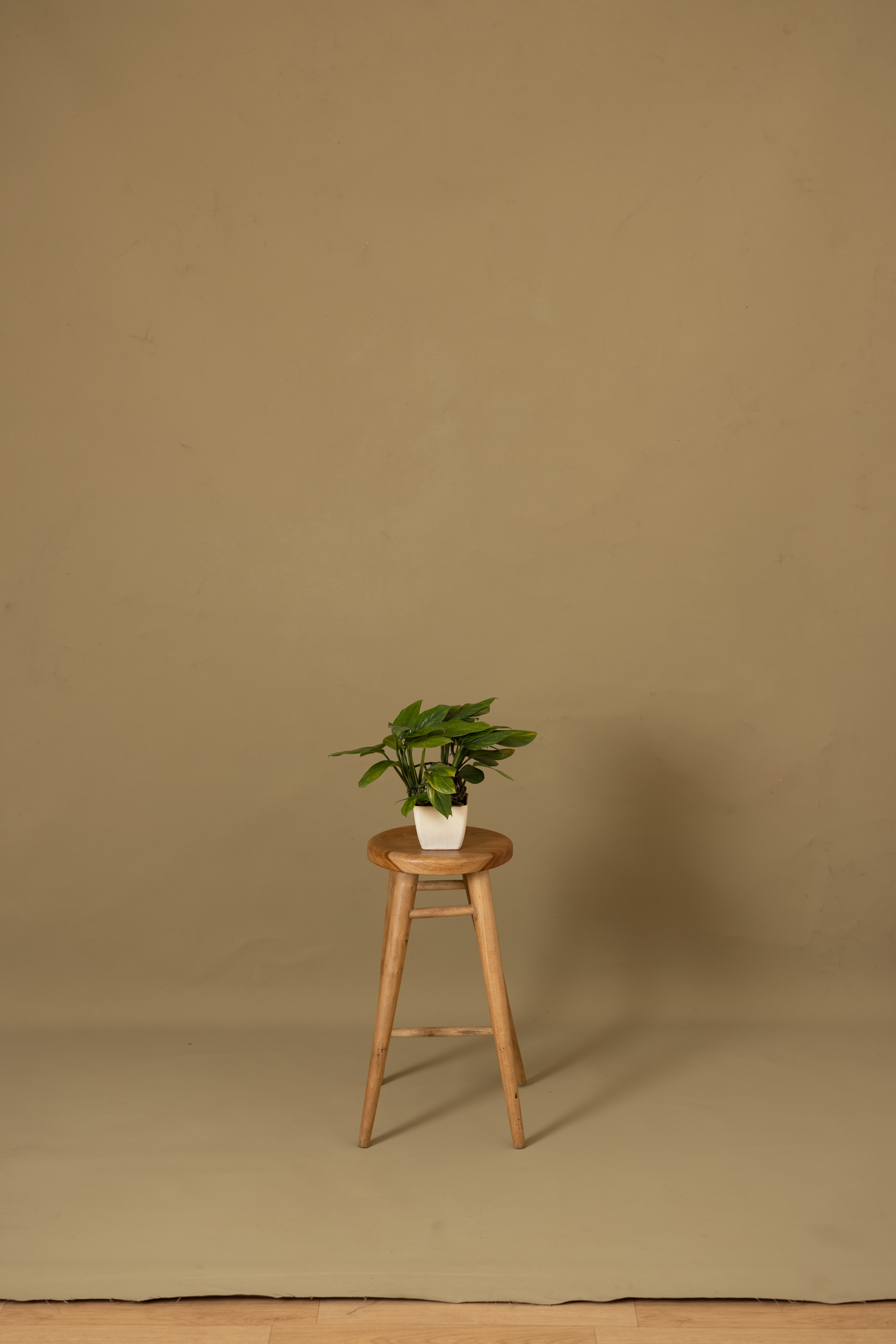 Potter Red Painted Canvas Backdrop (RN#53) view 2