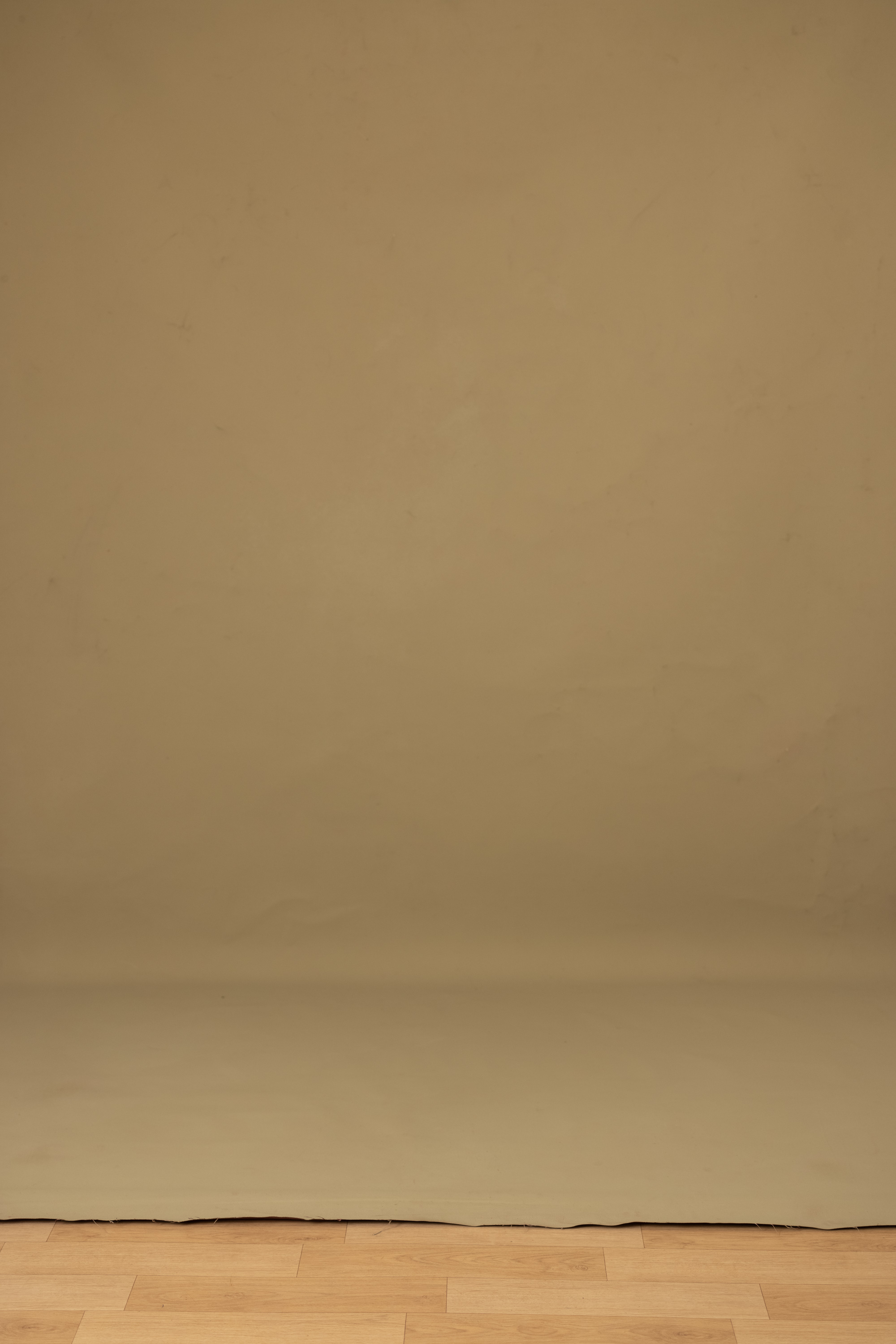 Potter Red Painted Canvas Backdrop (RN#53) view 4