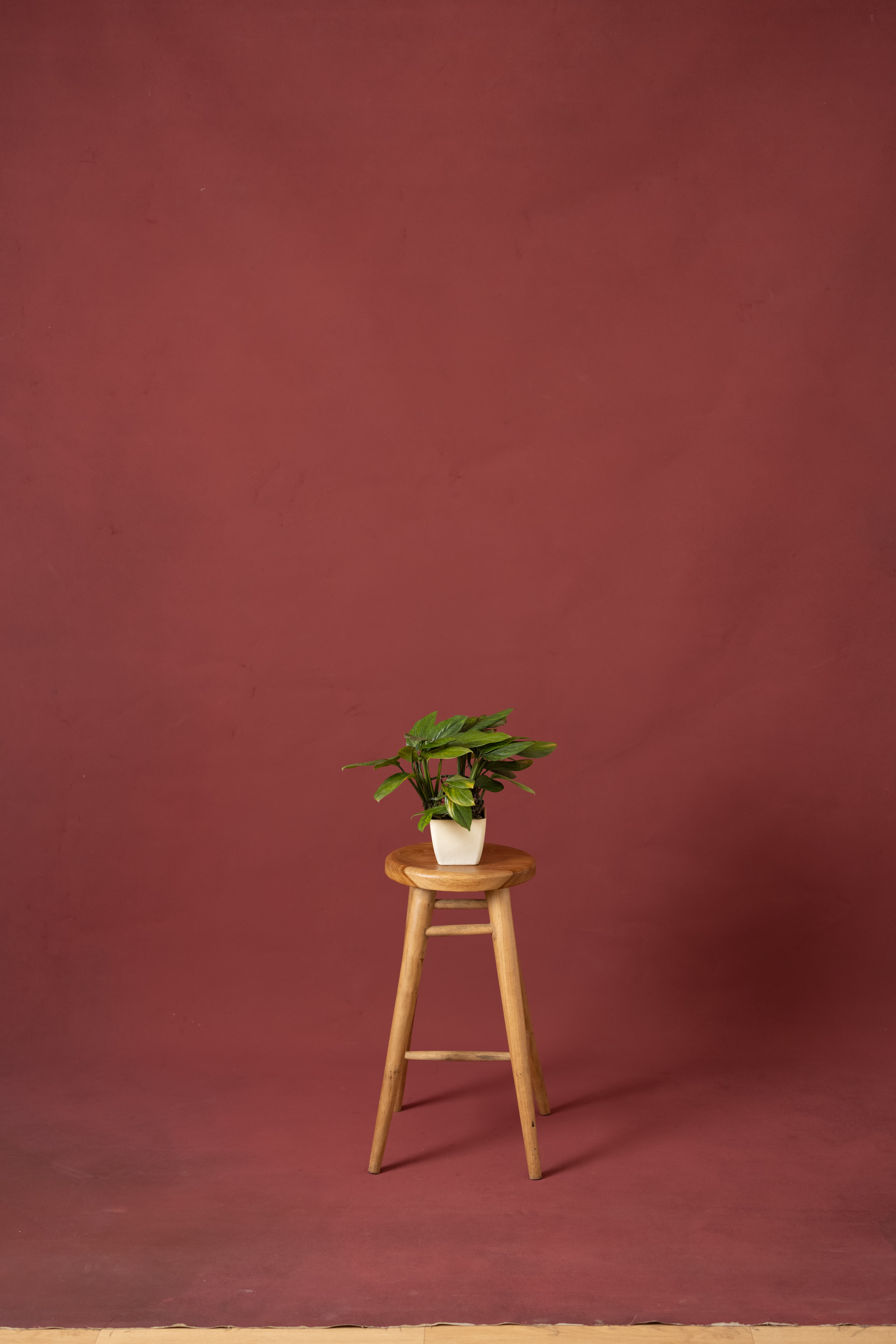 Potter Red Painted Canvas Backdrop (RN#53) view 5