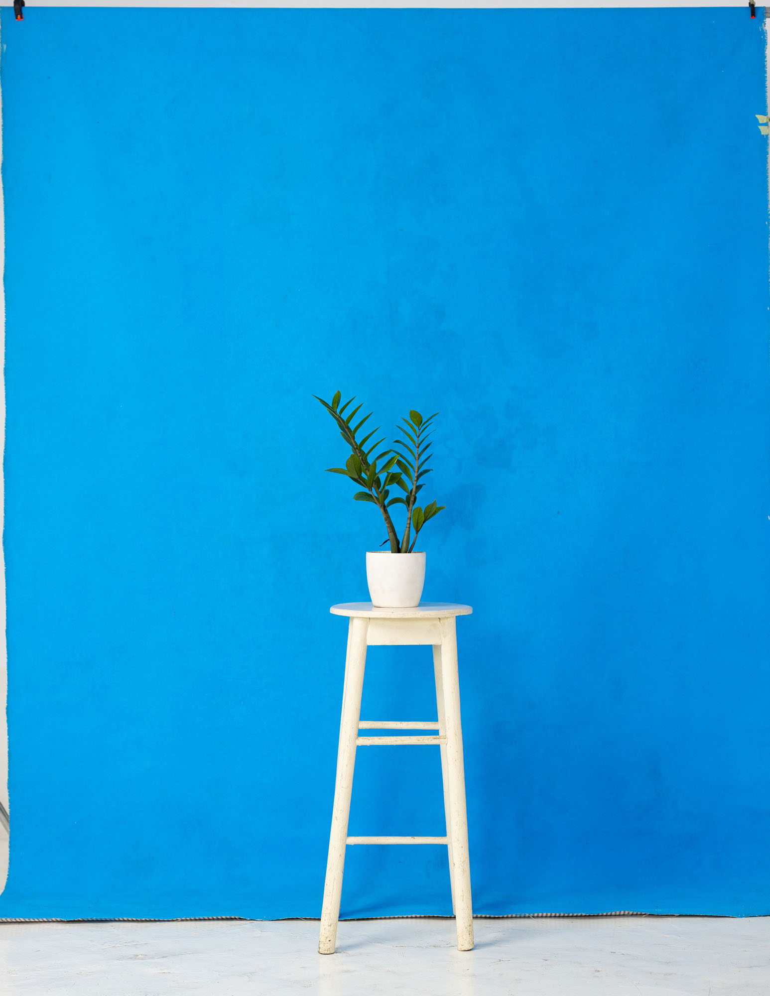 French Blue Painted Canvas Backdrop (RN#148) view 3