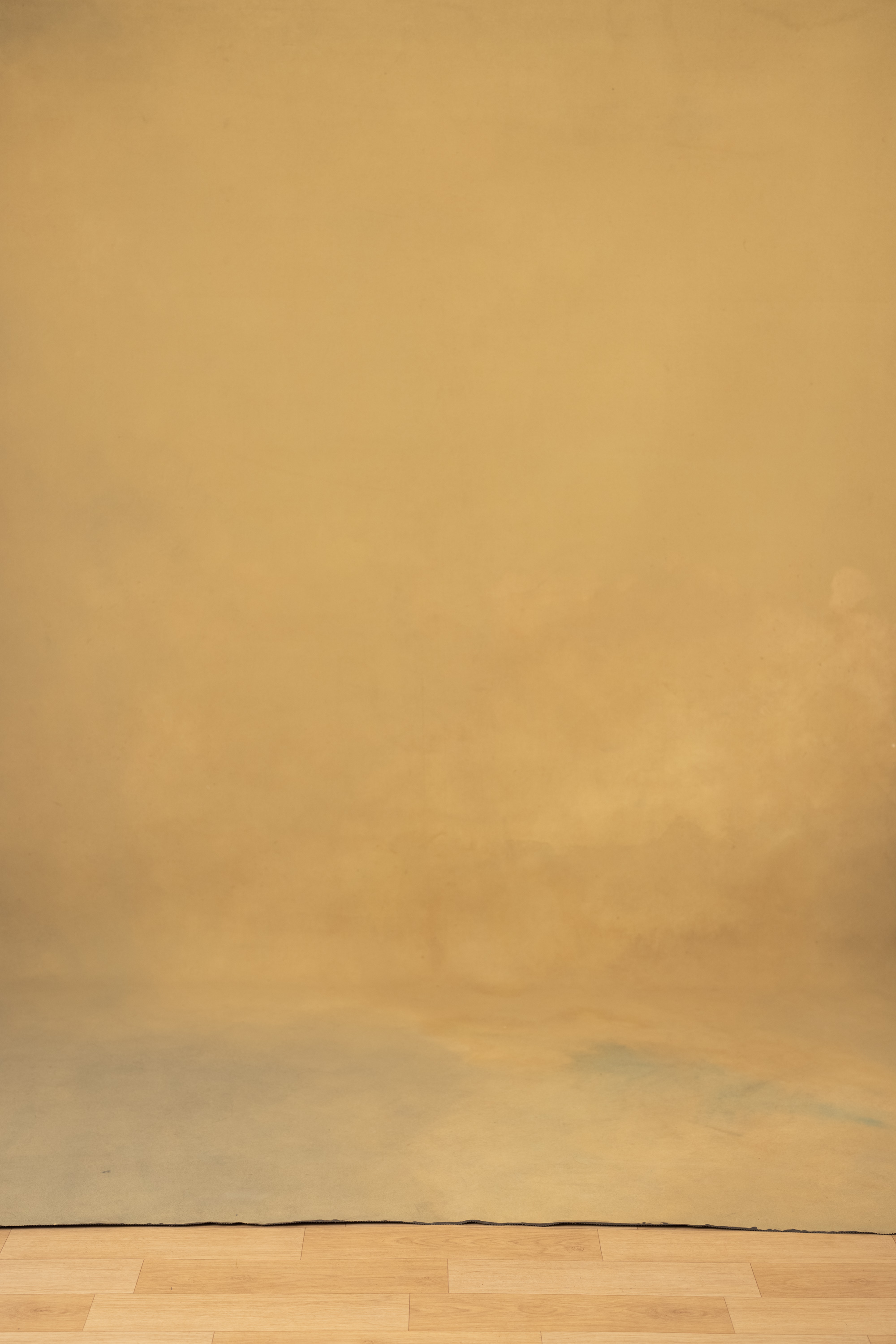 Desert Coffee Painted Canvas Backdrop (RN#22) view 3
