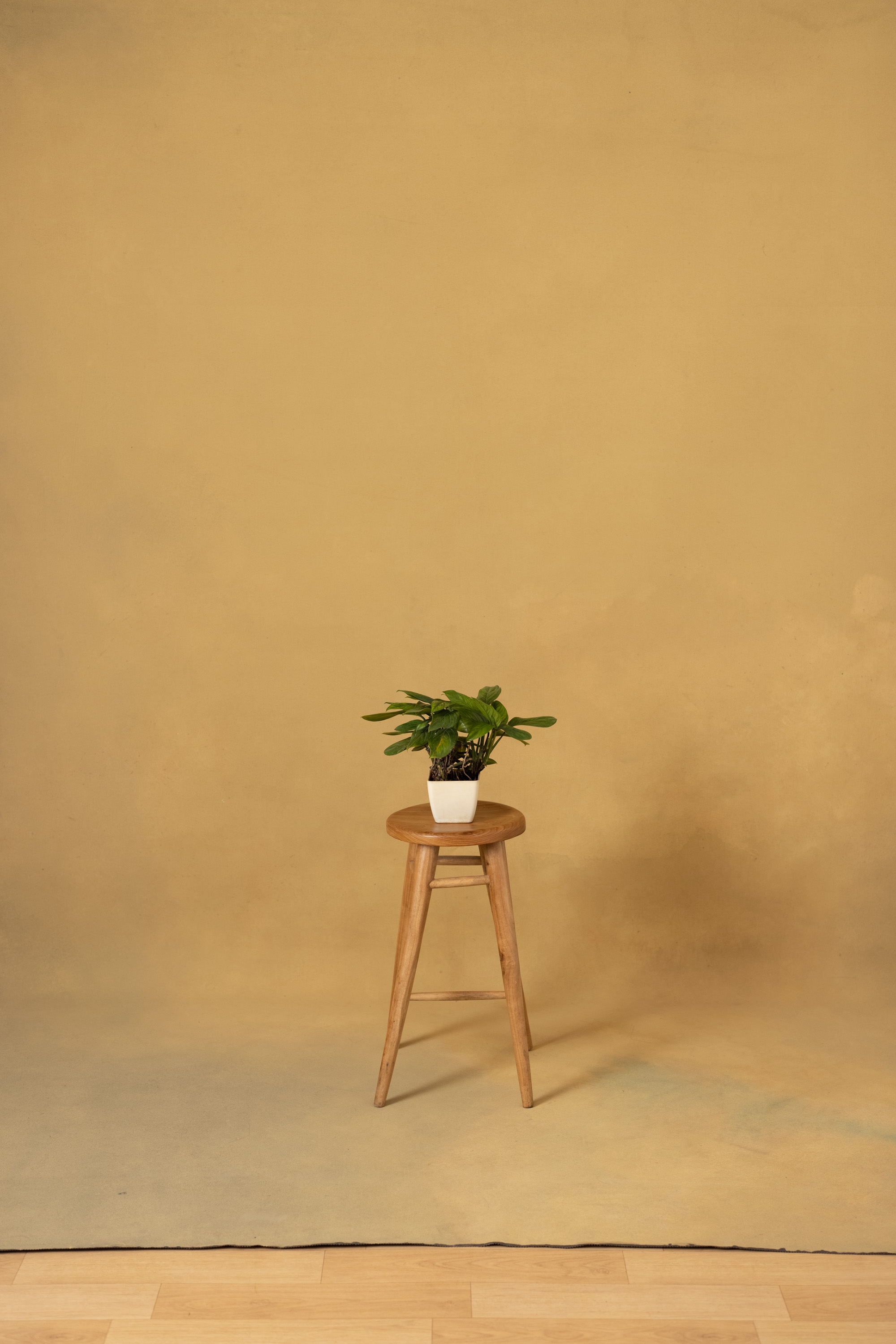 Desert Coffee Painted Canvas Backdrop (RN#22) view 4