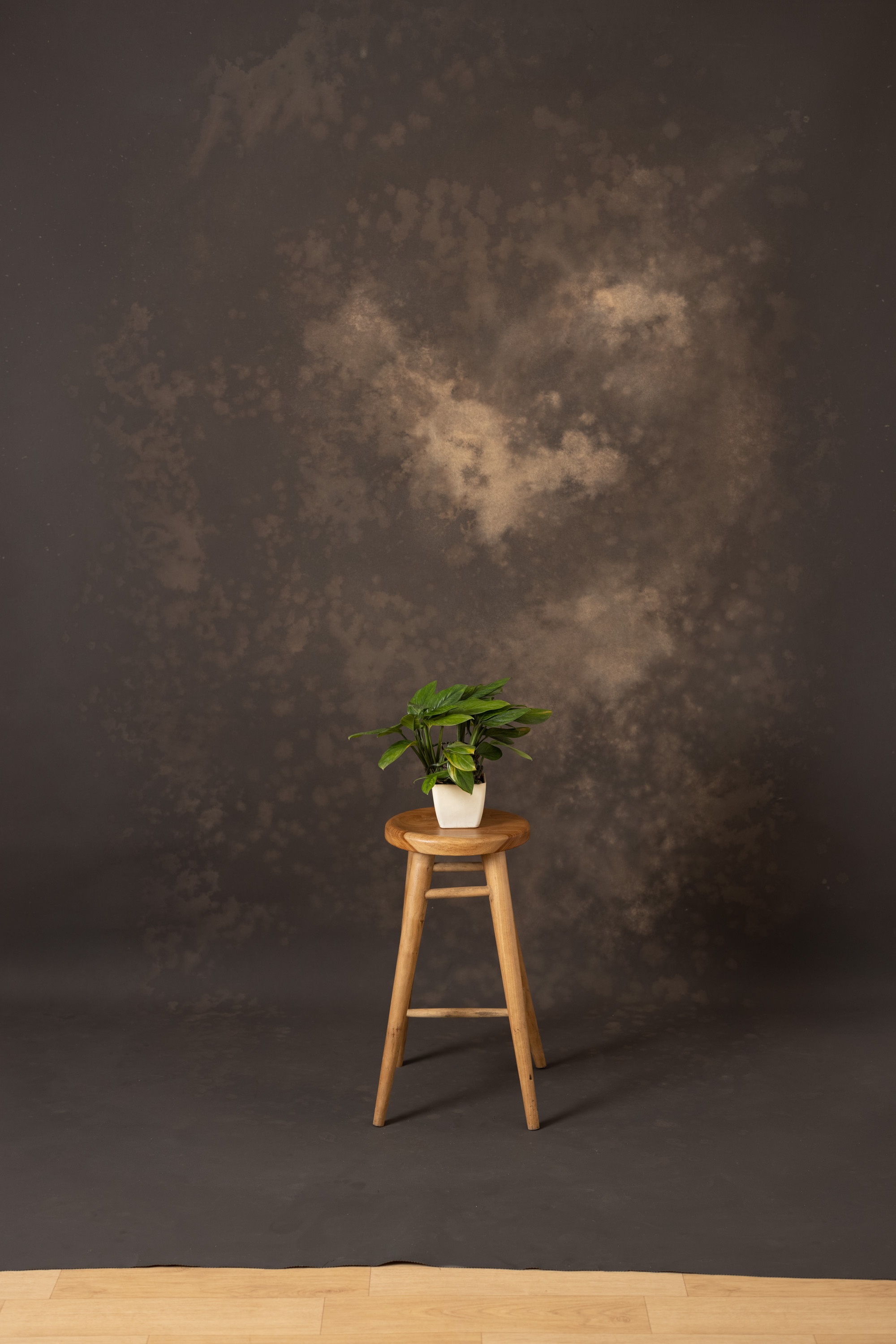 Desert Coffee Painted Canvas Backdrop (RN#22) view 7