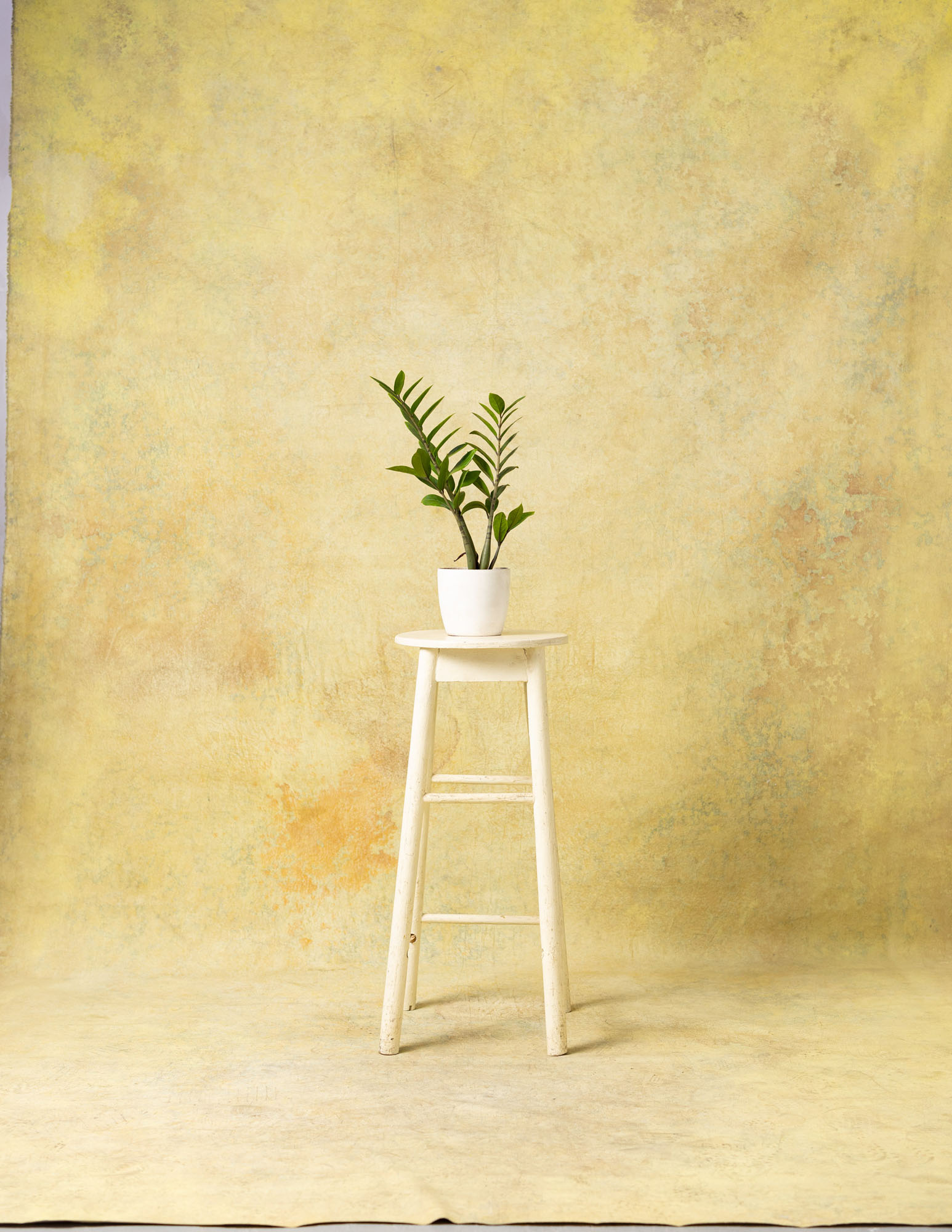 Harvest Gold Painted Canvas Backdrop (RN#74) view 3