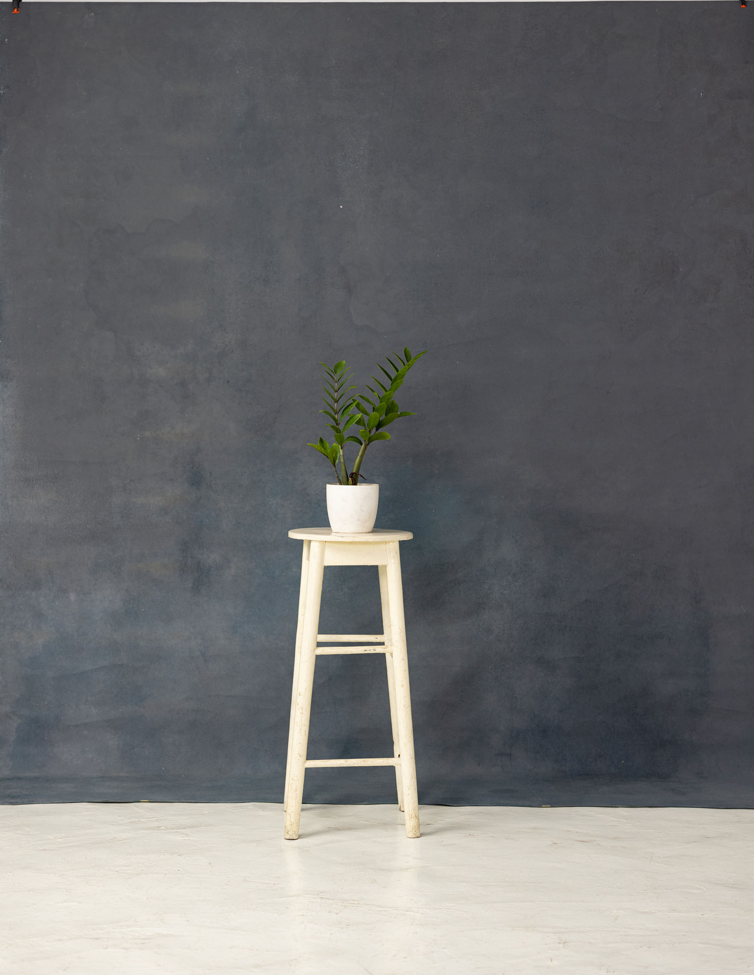 Carbon Grey Painted Canvas Backdrop (RN#101) view 3