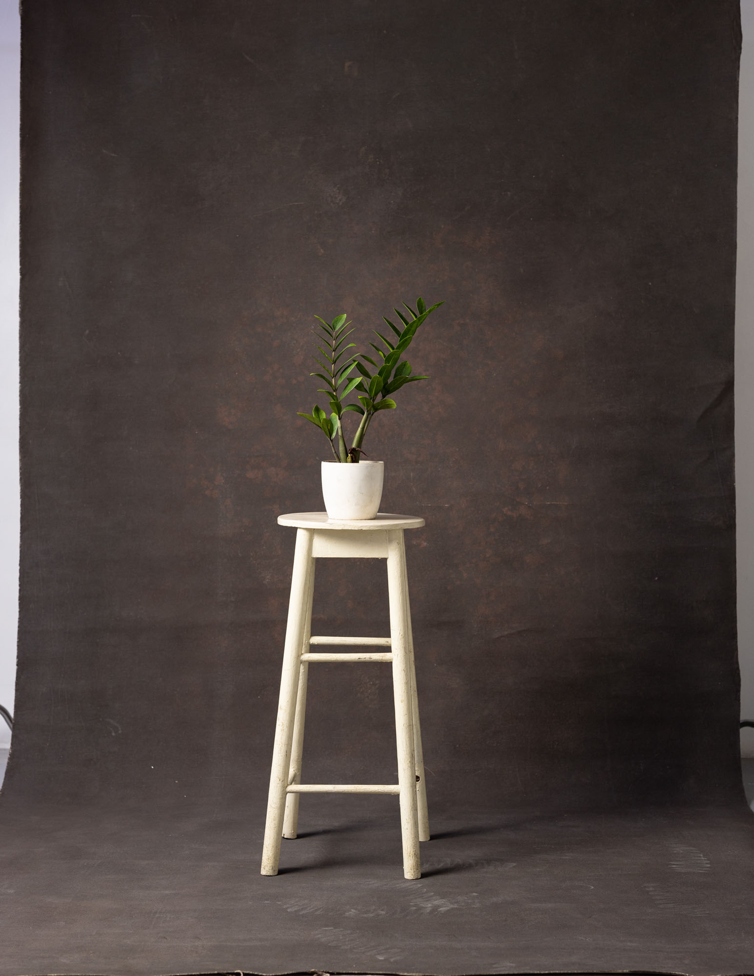 Cafe Noir Painted Canvas Backdrop (RN#36) view 3