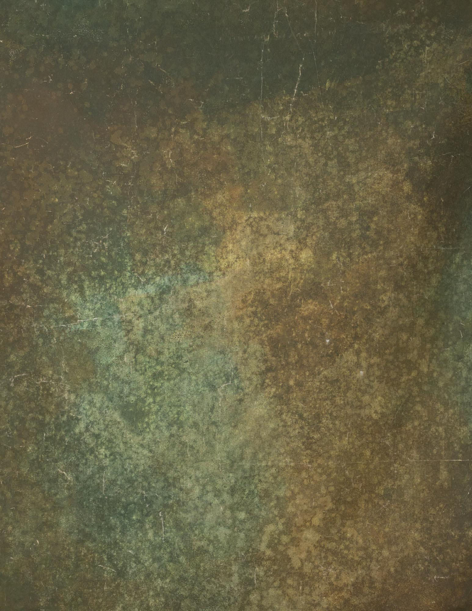 Bronzestone Painted Canvas Backdrop (RN#20)