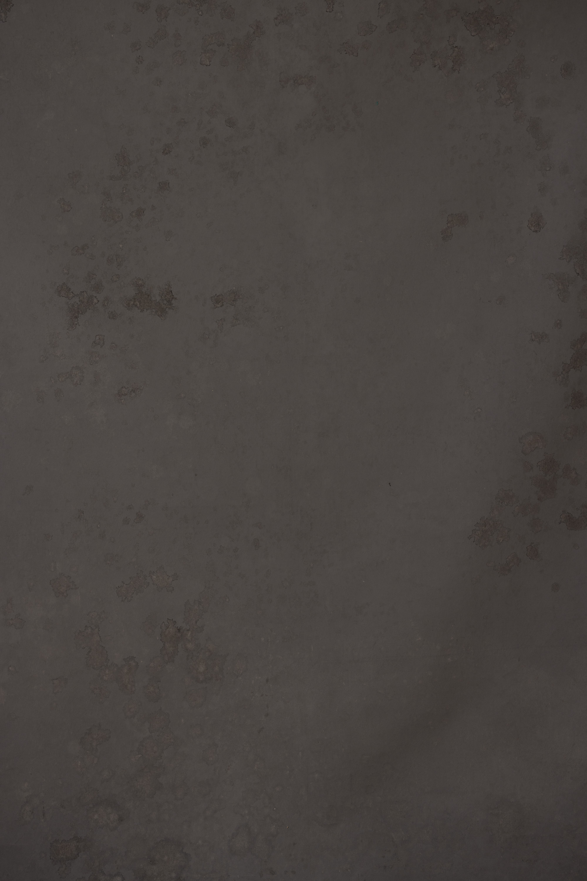 Parched Seal Painted Canvas Backdrop (RN#143)