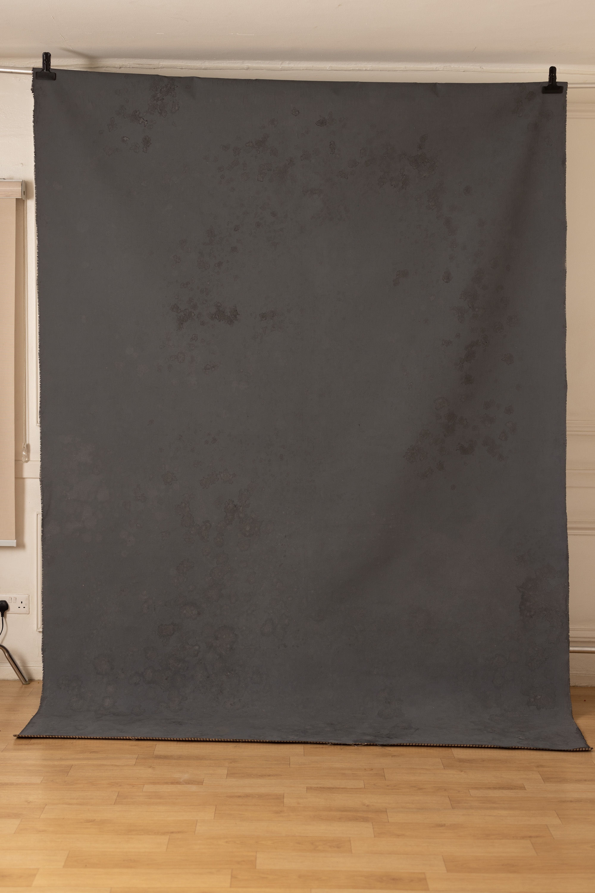 Parched Seal Painted Canvas Backdrop (RN#143) view 2